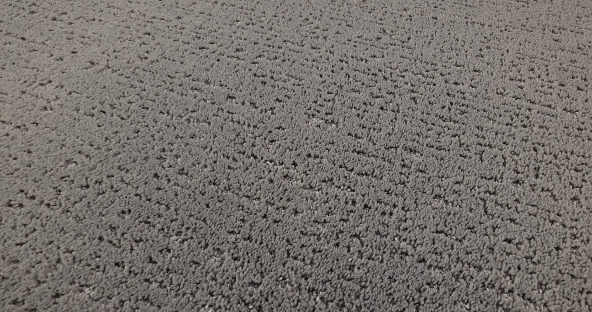 CURATED TONE MAGNETIC 360PROD