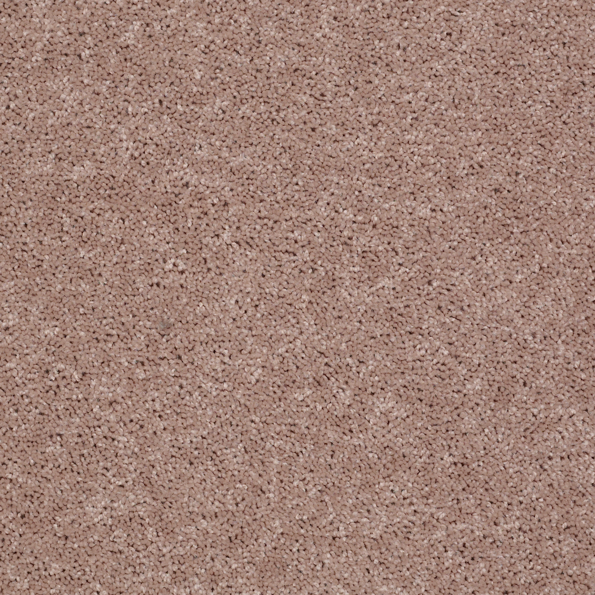 ROYAL PORTRUSH II 12' HONEYCOMB MAIN