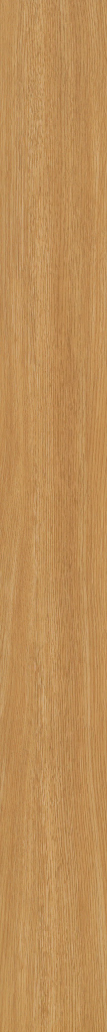 ROCKY MOUNTAIN OAK 1TO1