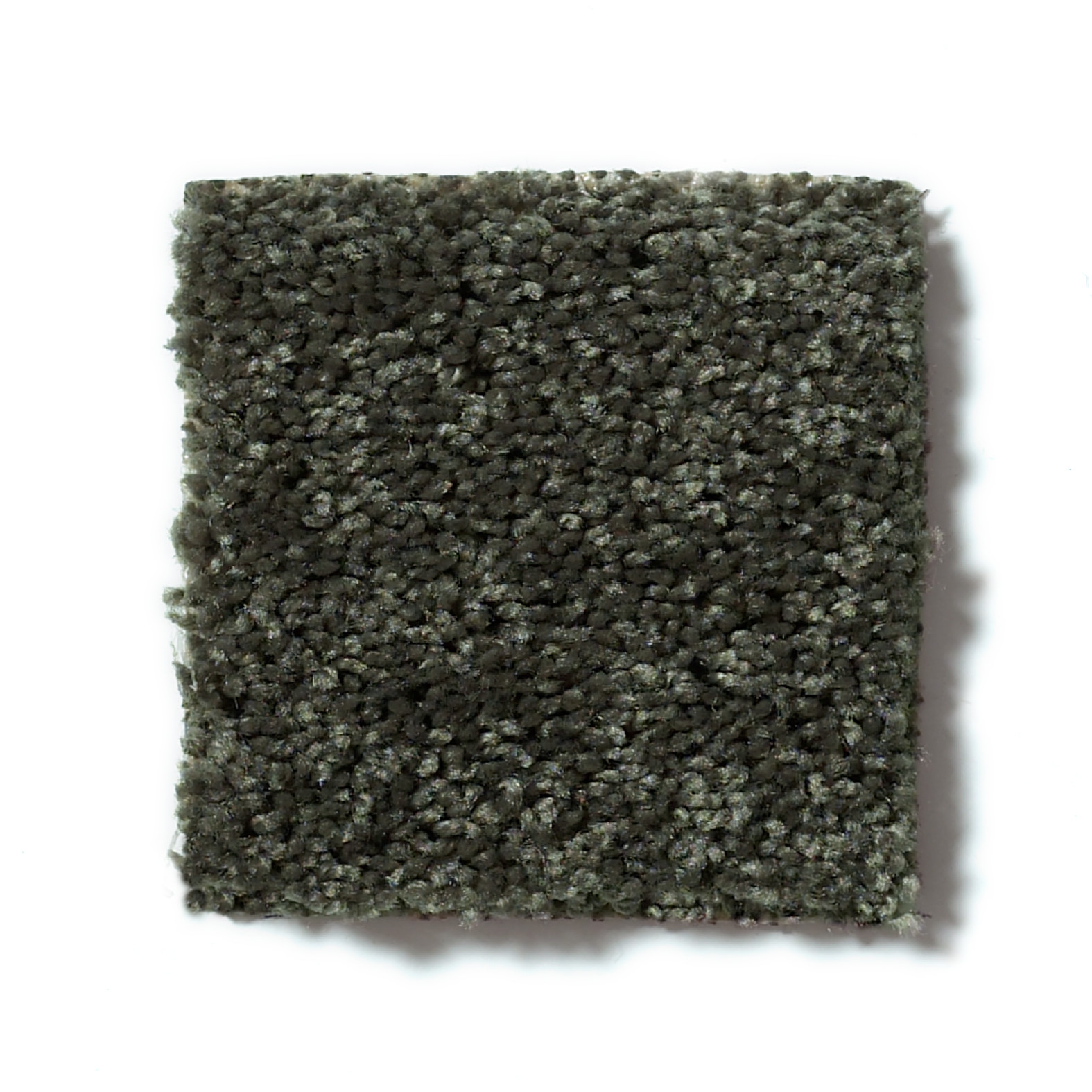 ROYAL PORTRUSH III 12' GARDEN GROVE SWATCH