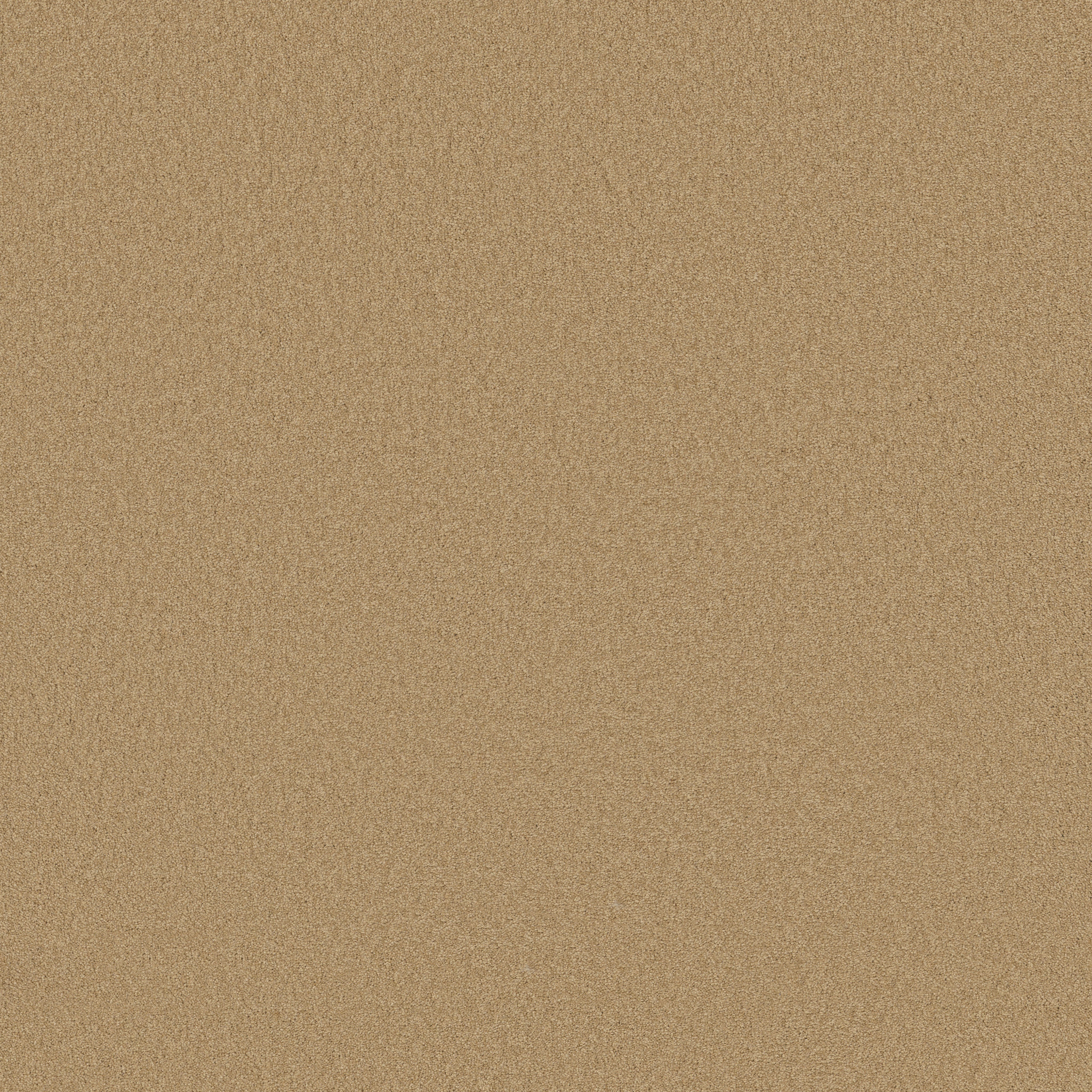 TIMELESS APPEAL I 12' CORNFIELD MAIN