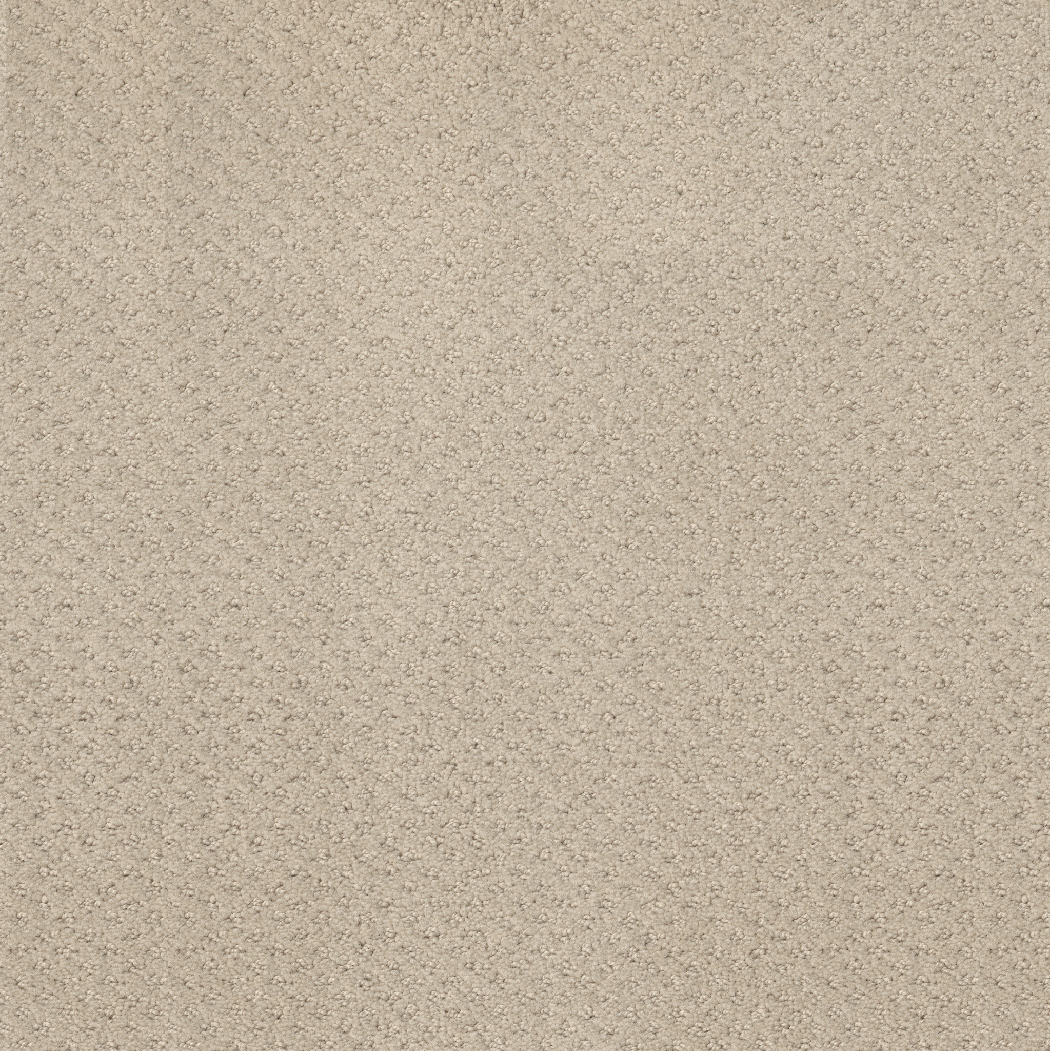 MAINSTAY BUTTER CREAM MAIN