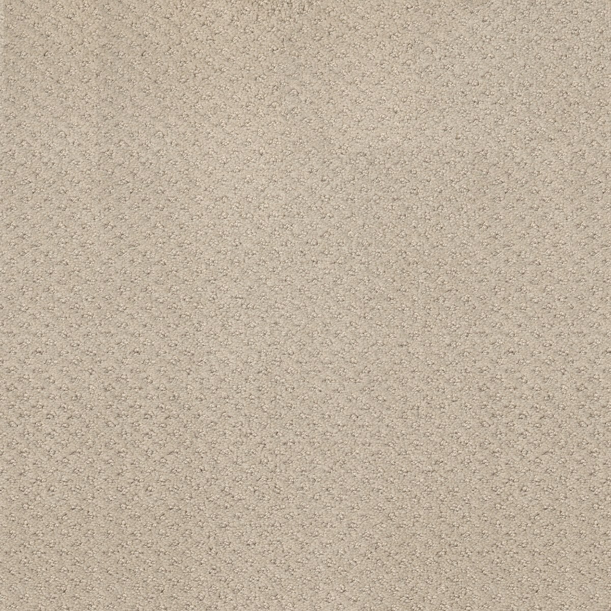 Shaw Floors MAINSTAY — BUTTER CREAM