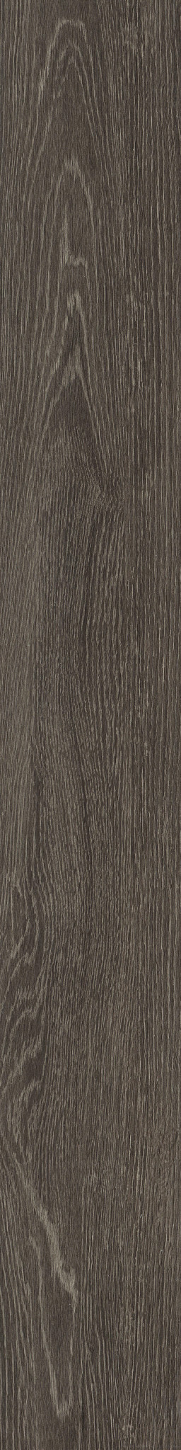 Carbon