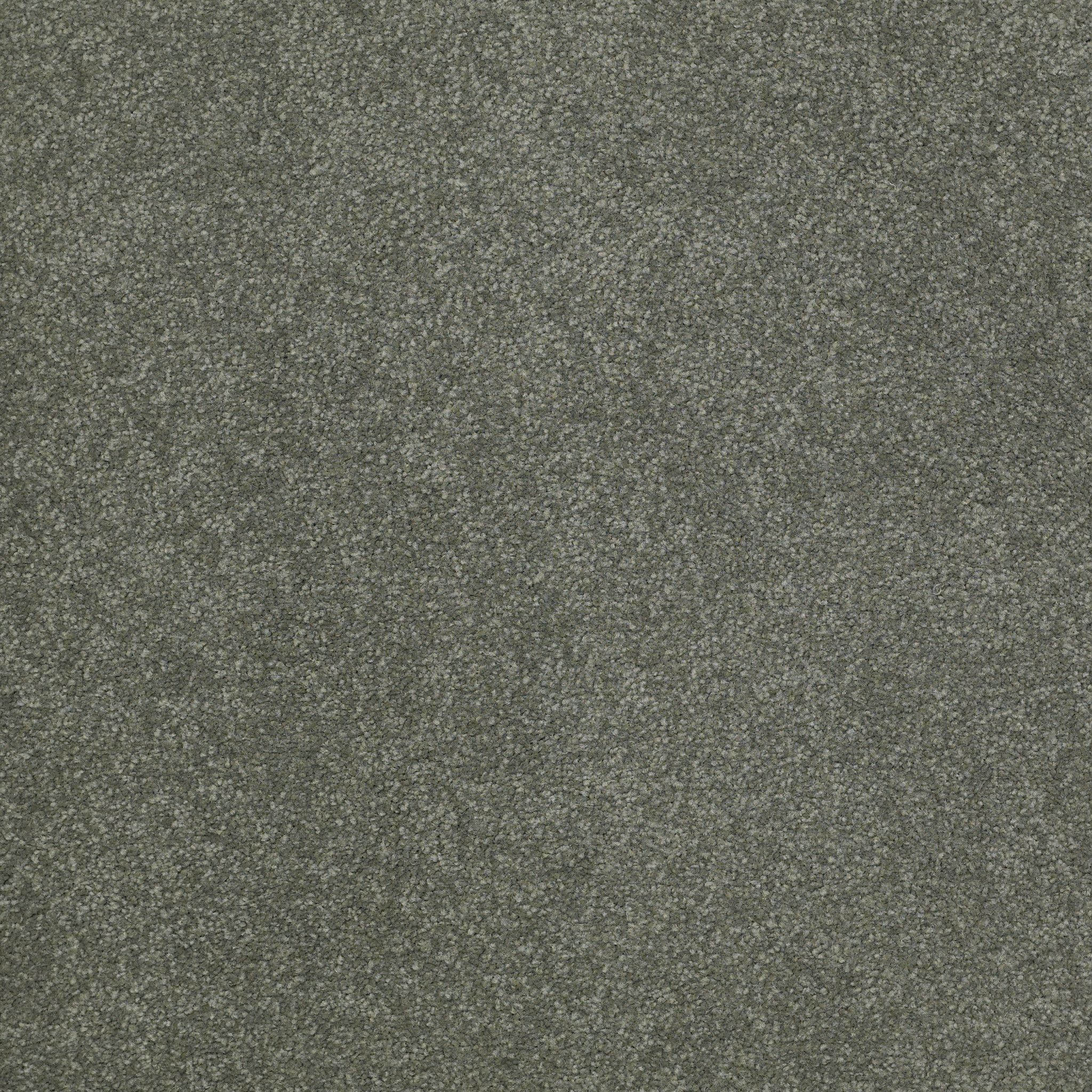 SANDY HOLLOW CLASSIC IV 12' BAHAMA BAY MAIN