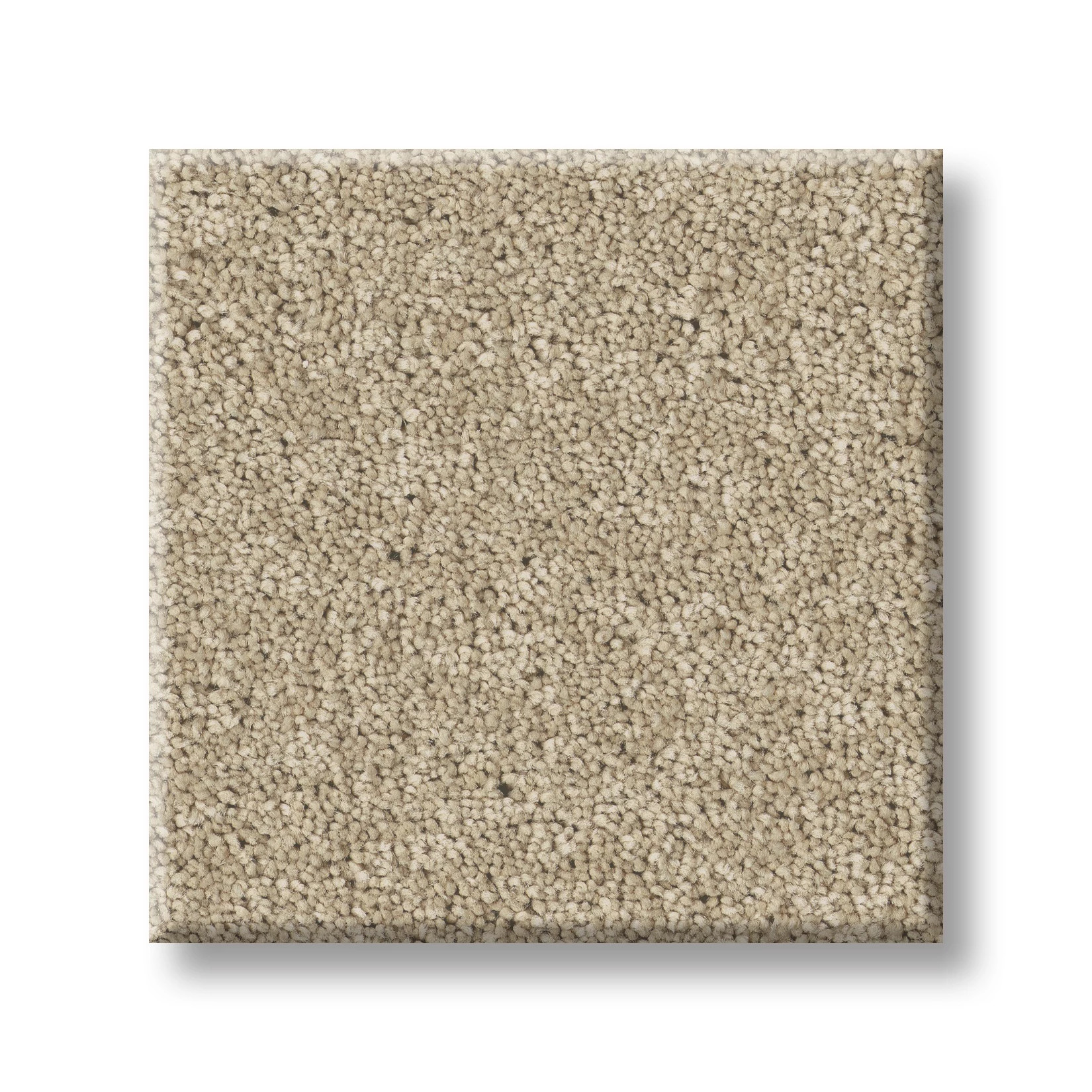SMOOTH TONE SAFARI SWATCH