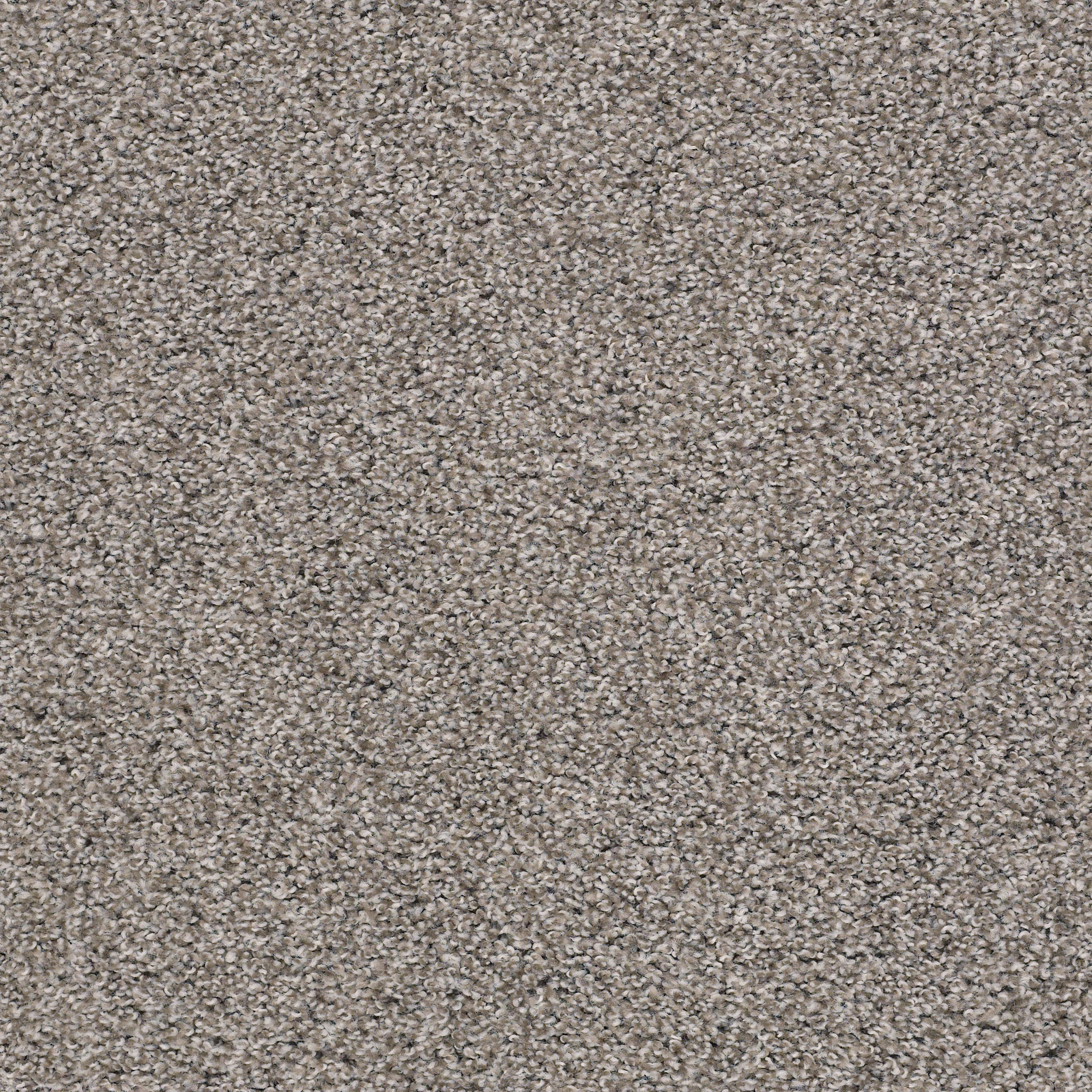 POISED FLANNEL GRAY MAIN