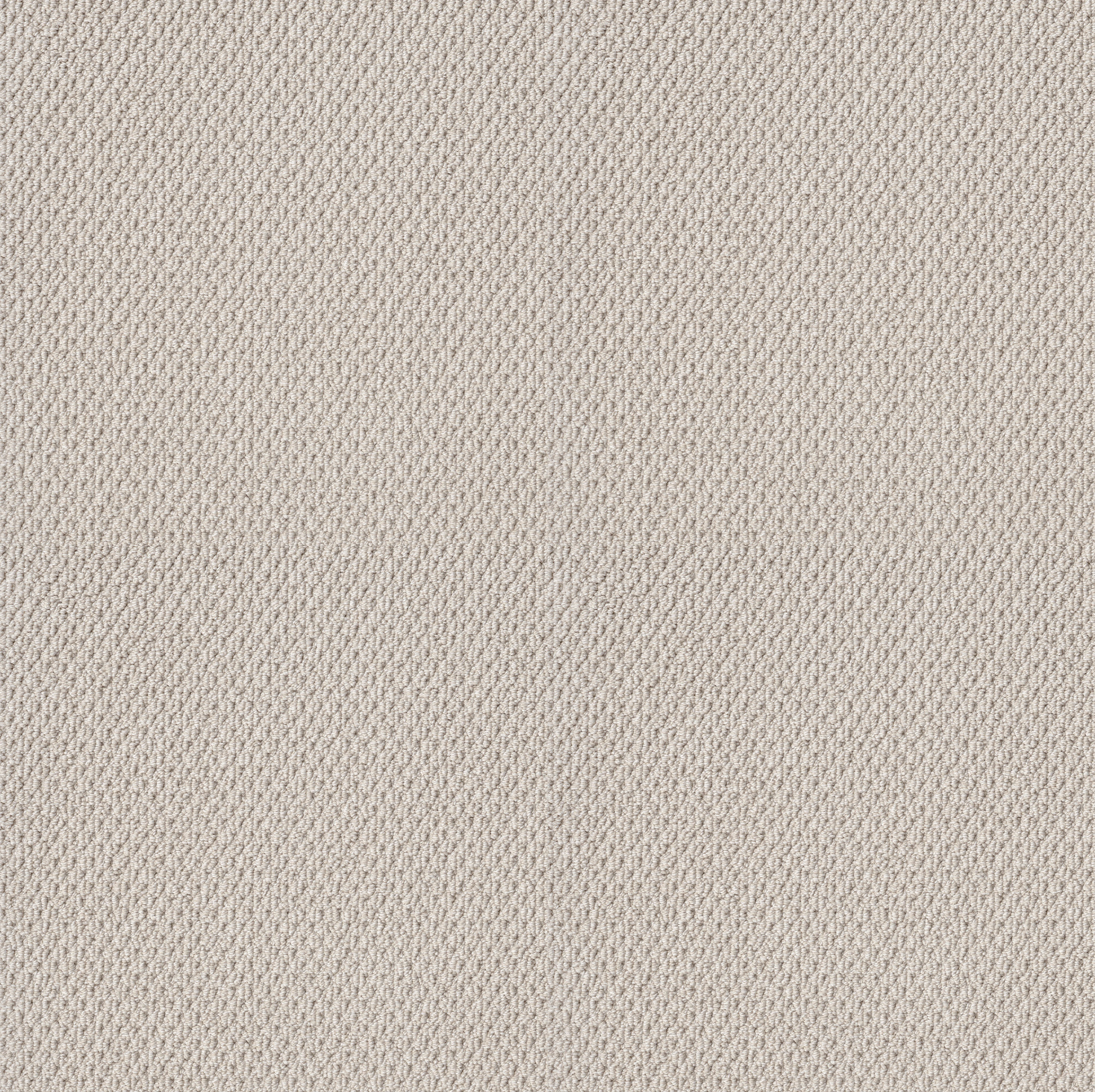 NATURALISTIC WINTERS DAWN MAIN