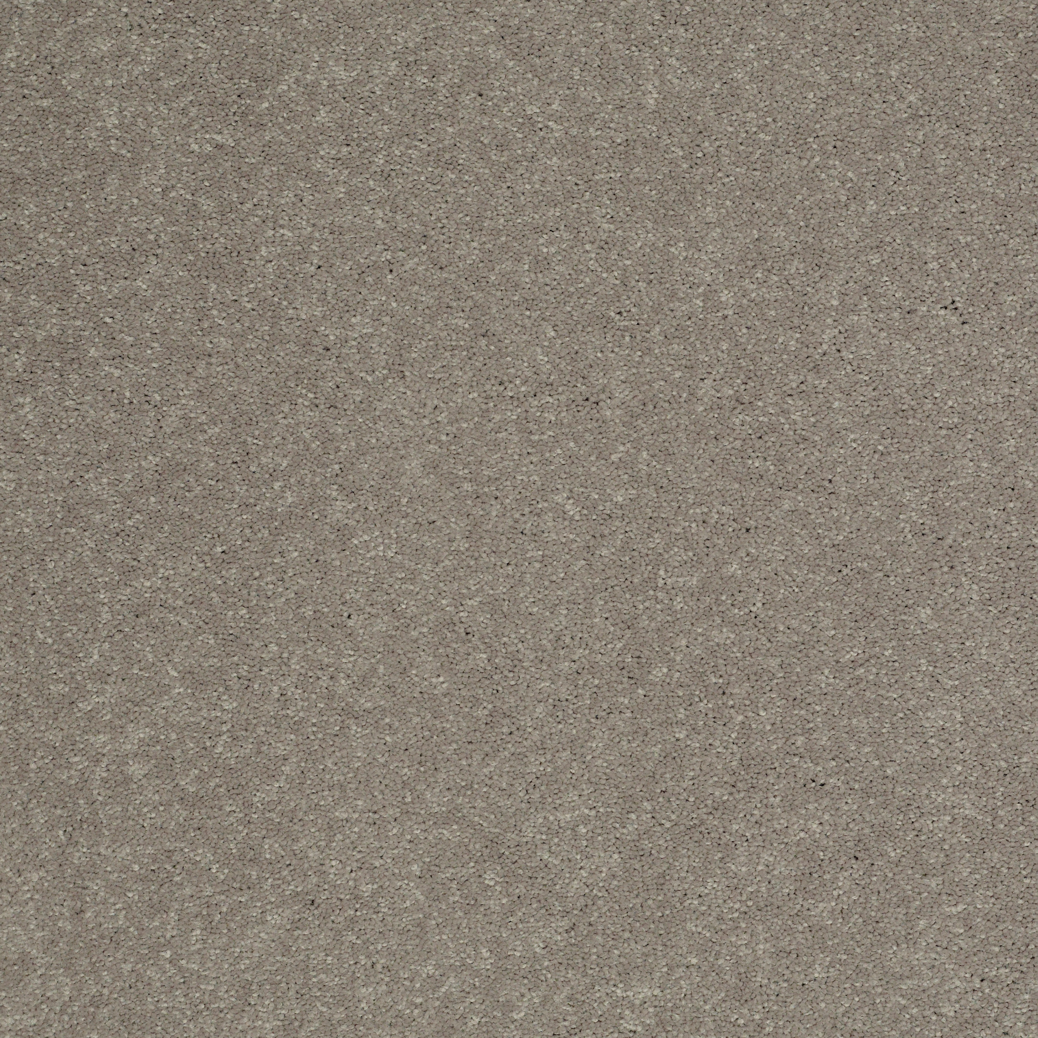 SHINGLE CREEK II 12' WOOD SMOKE MAIN