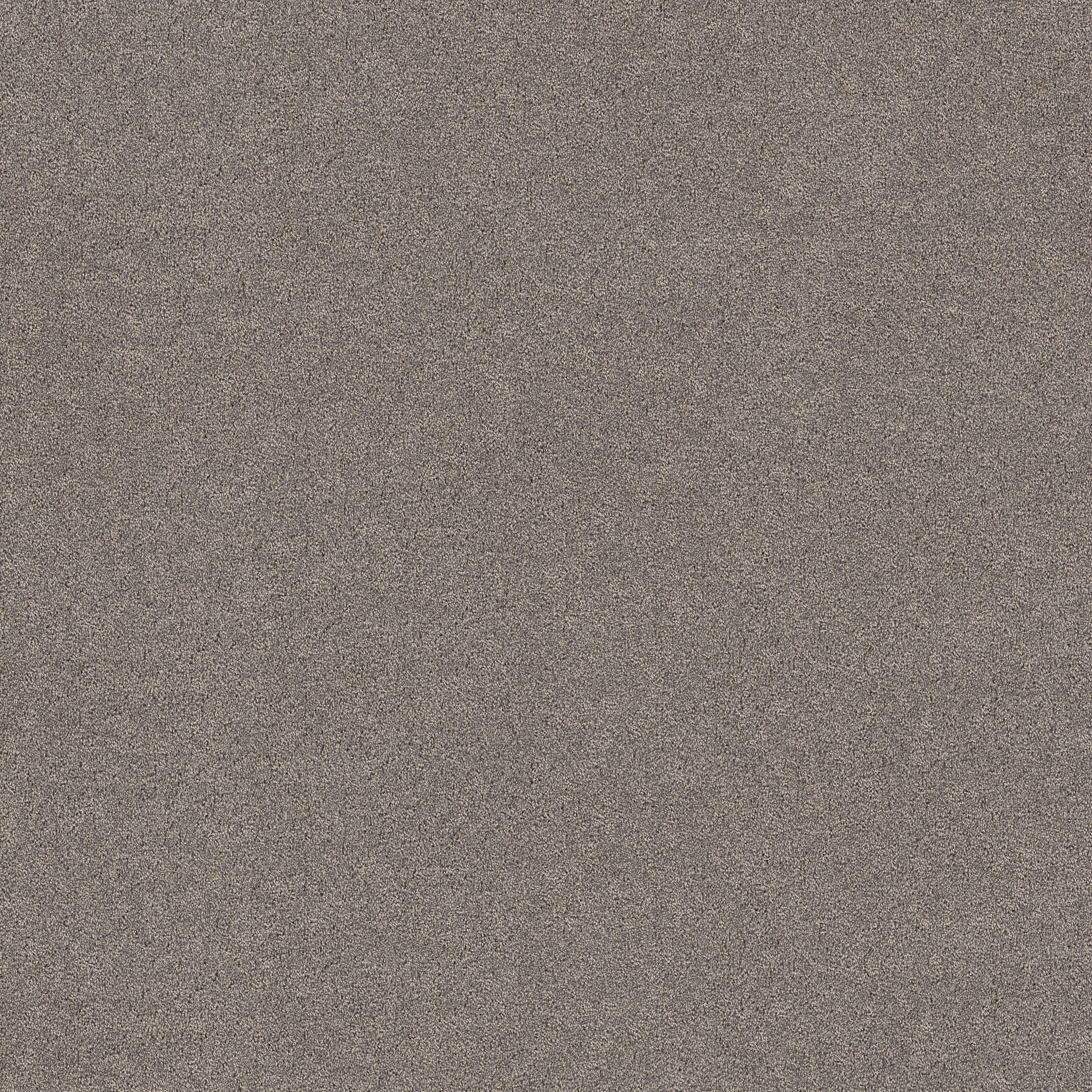 SECRET ADVENTURE SHADOWS MAIN