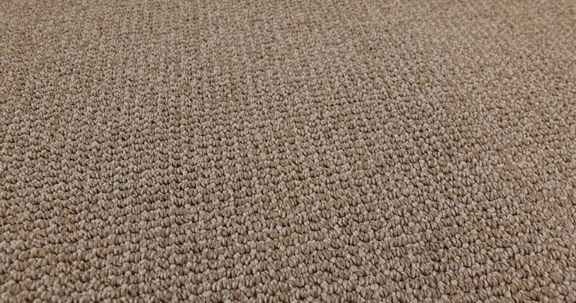 PURRFECTION GREAT PLAINS 360PROD