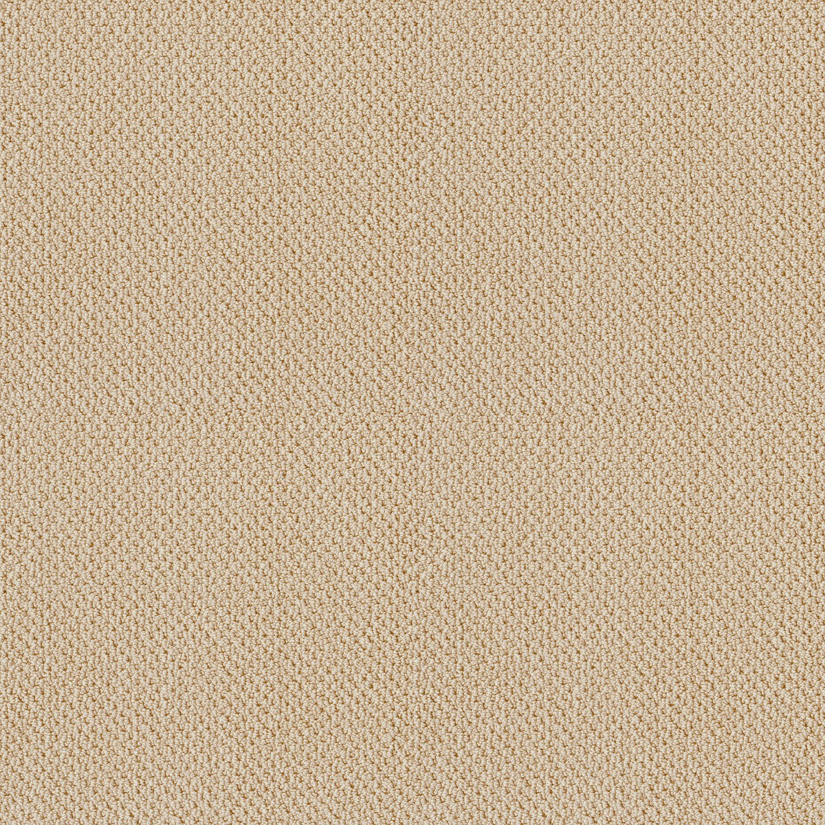 Shaw Floors TRADITIONAL ELEGANCE — CUSTARD