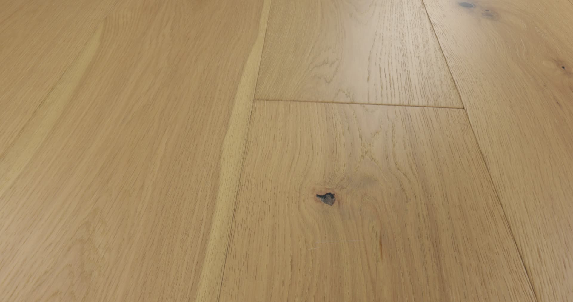 EXPRESSIONS 9.5" HARMONY 360PROD