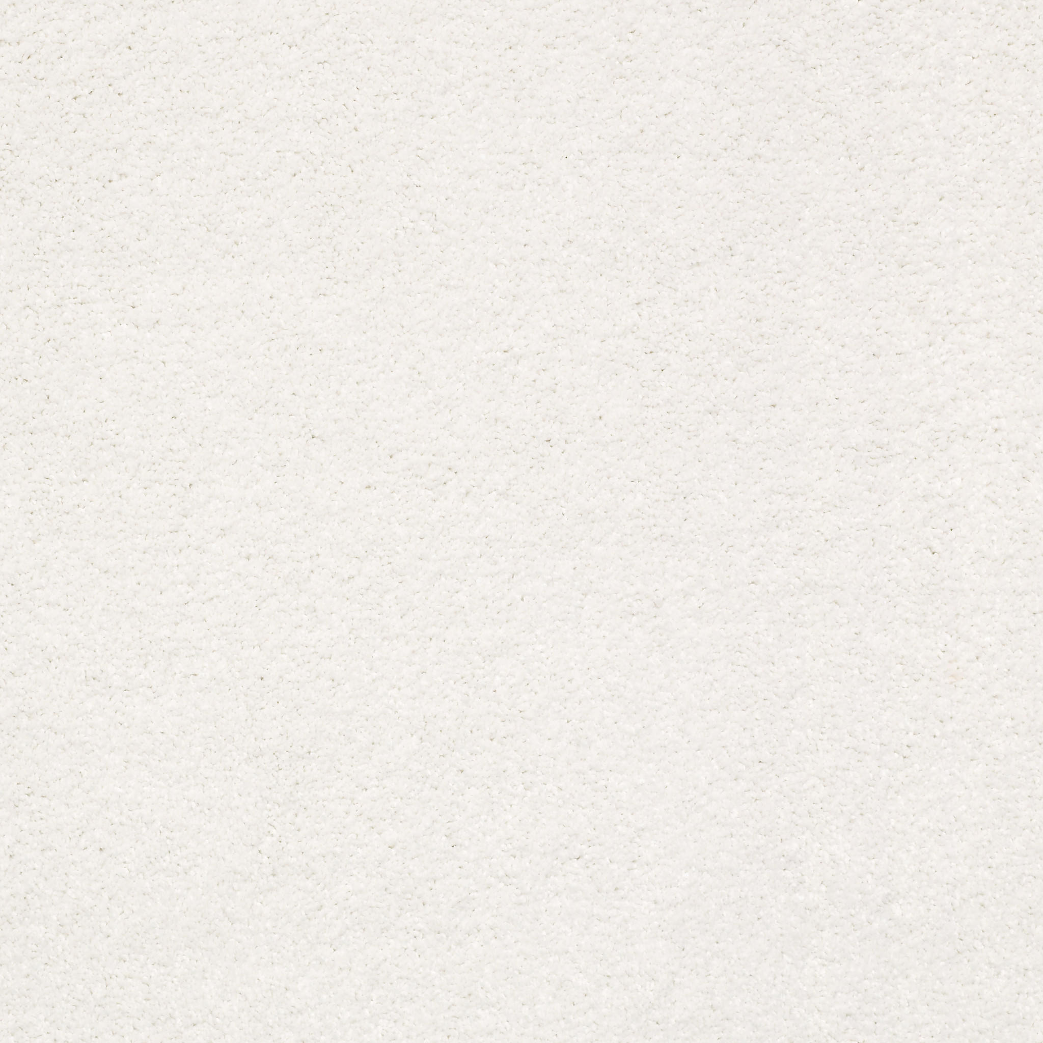 BASIC RULES SUPER FINE MAIN