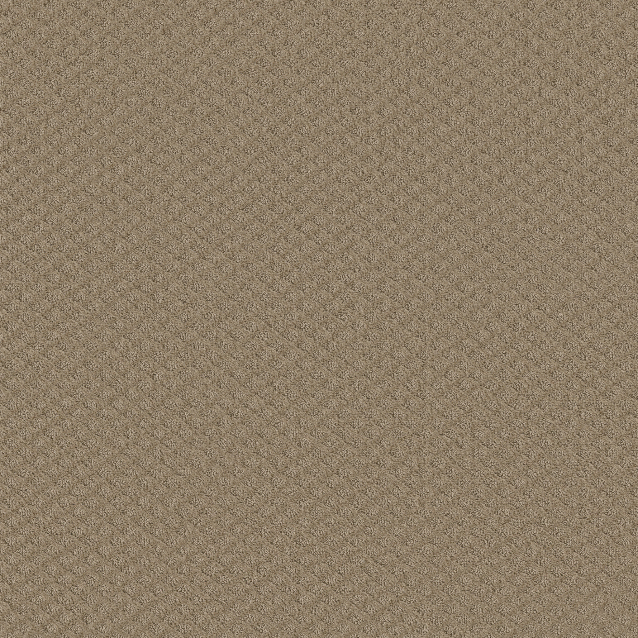 MODERN CHARM MUSHROOM MAIN