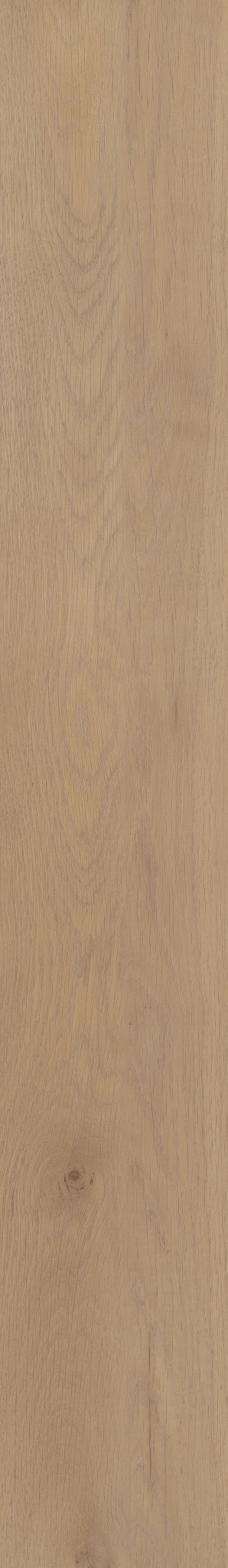 PARAGON HD+NATURAL BEVEL EDGEMONT 1TO1