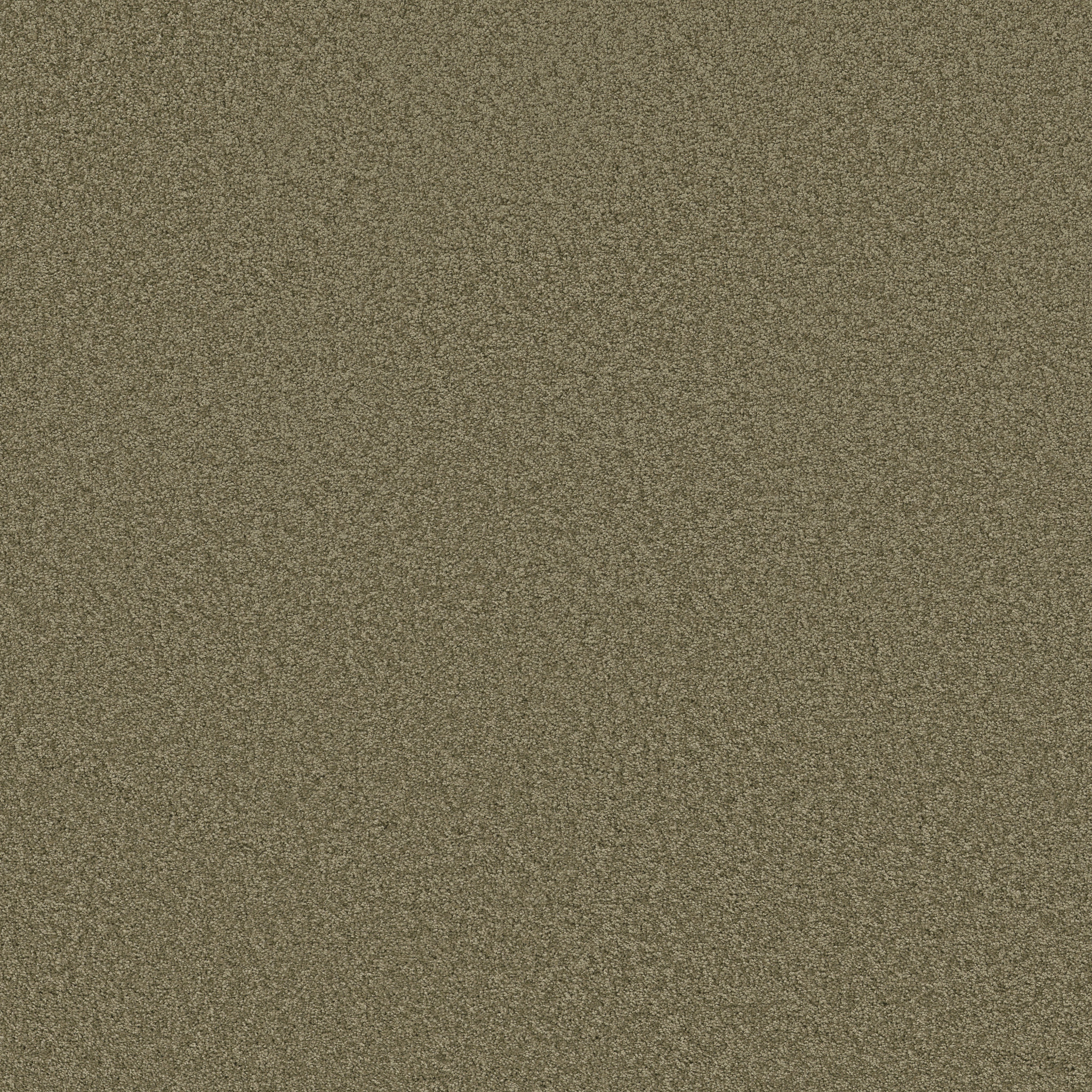 AROUND THE HOUSE III SUMMERHOUSE MAIN