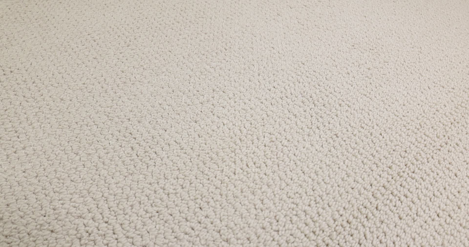 PURRFECTION OLYMPIC 360PROD