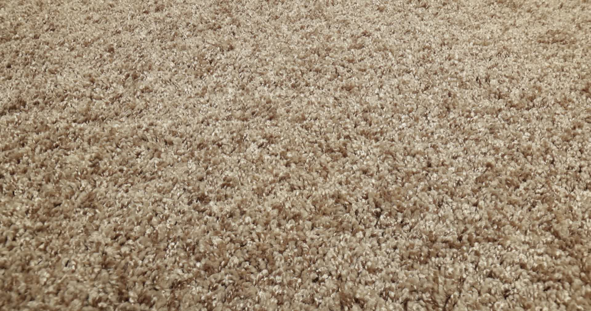 COLOR FLAIR HONEY BUTTER 360PROD