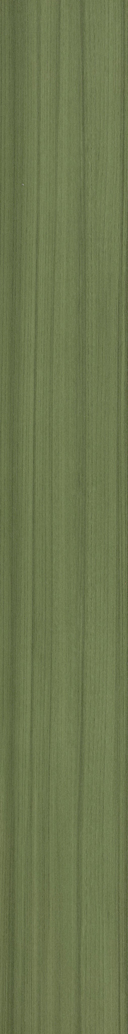 Cactus, the manufacturer's video