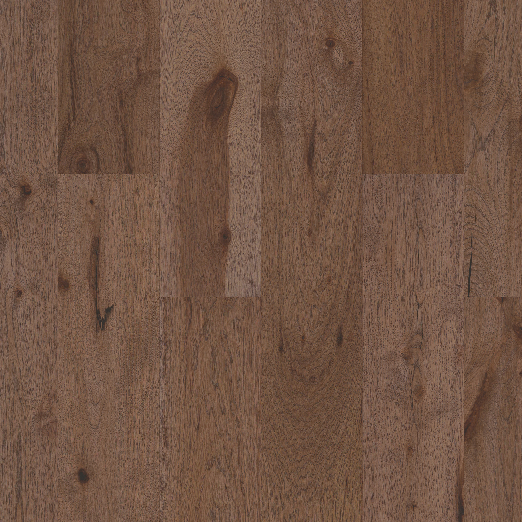 REFLECTIONS HICKORY RADIANCE MAIN