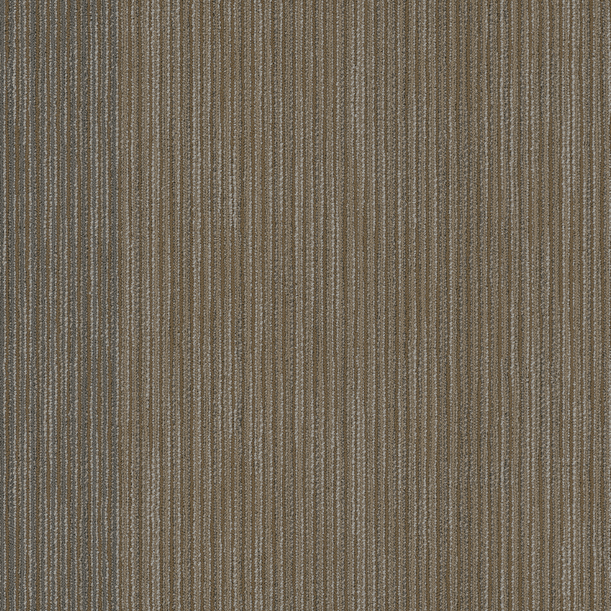 DOCUMENT-54906-FRONT-PAGE-00208-main-image