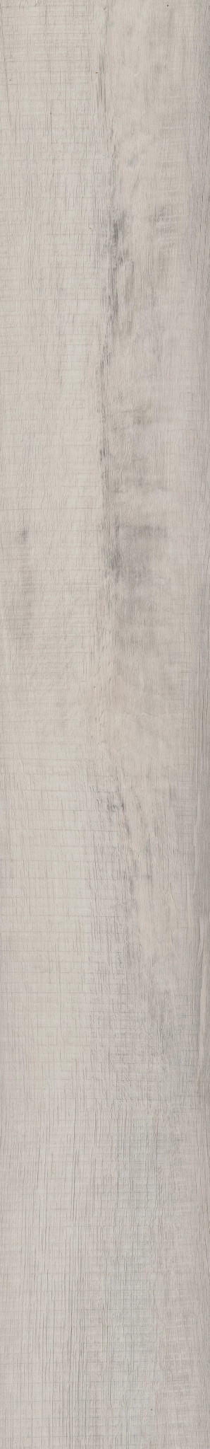 Chesapeake Oak