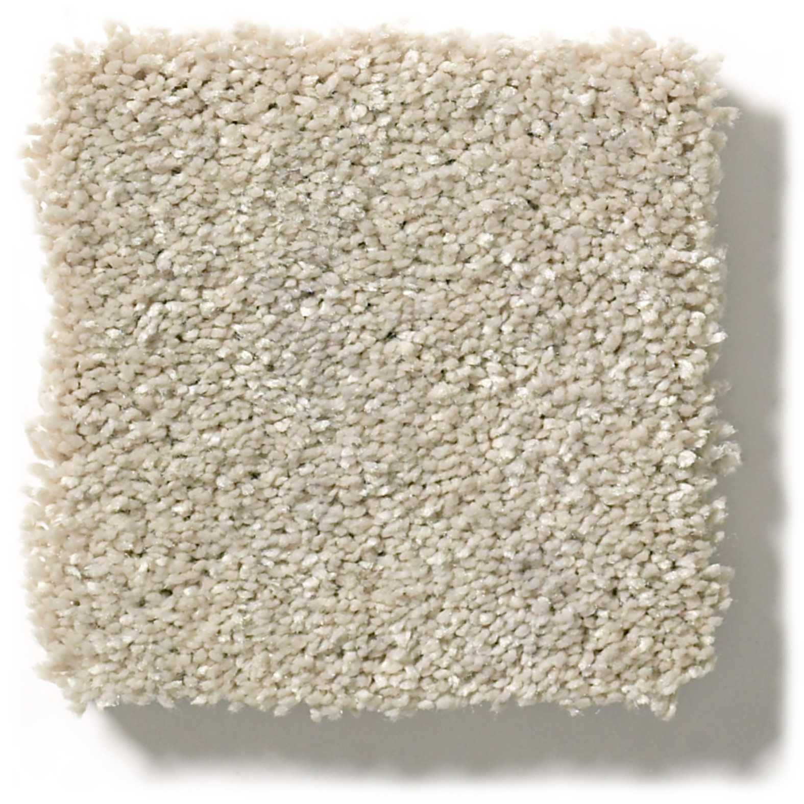 BASIC RULES ARCTIC FOX SWATCH