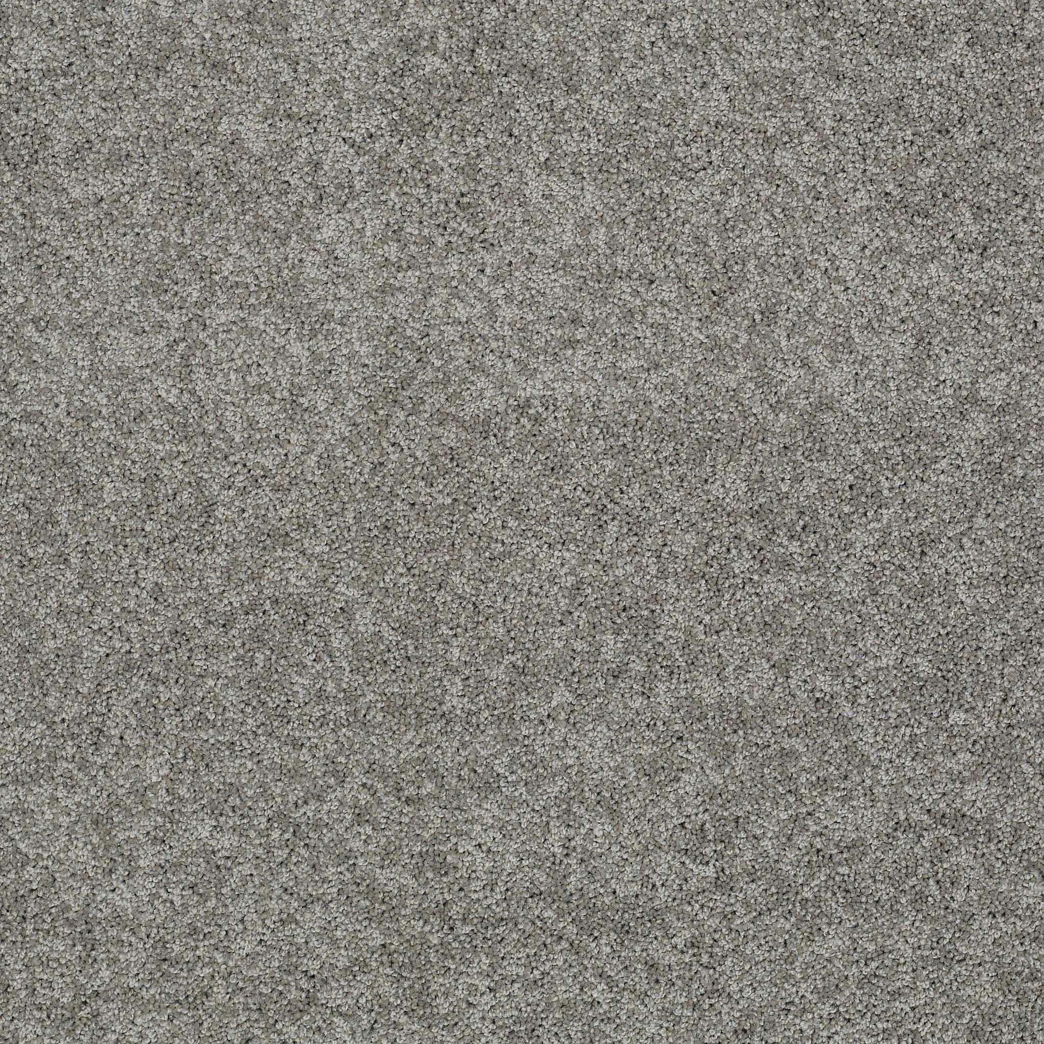 MY CHOICE II FOG MAIN