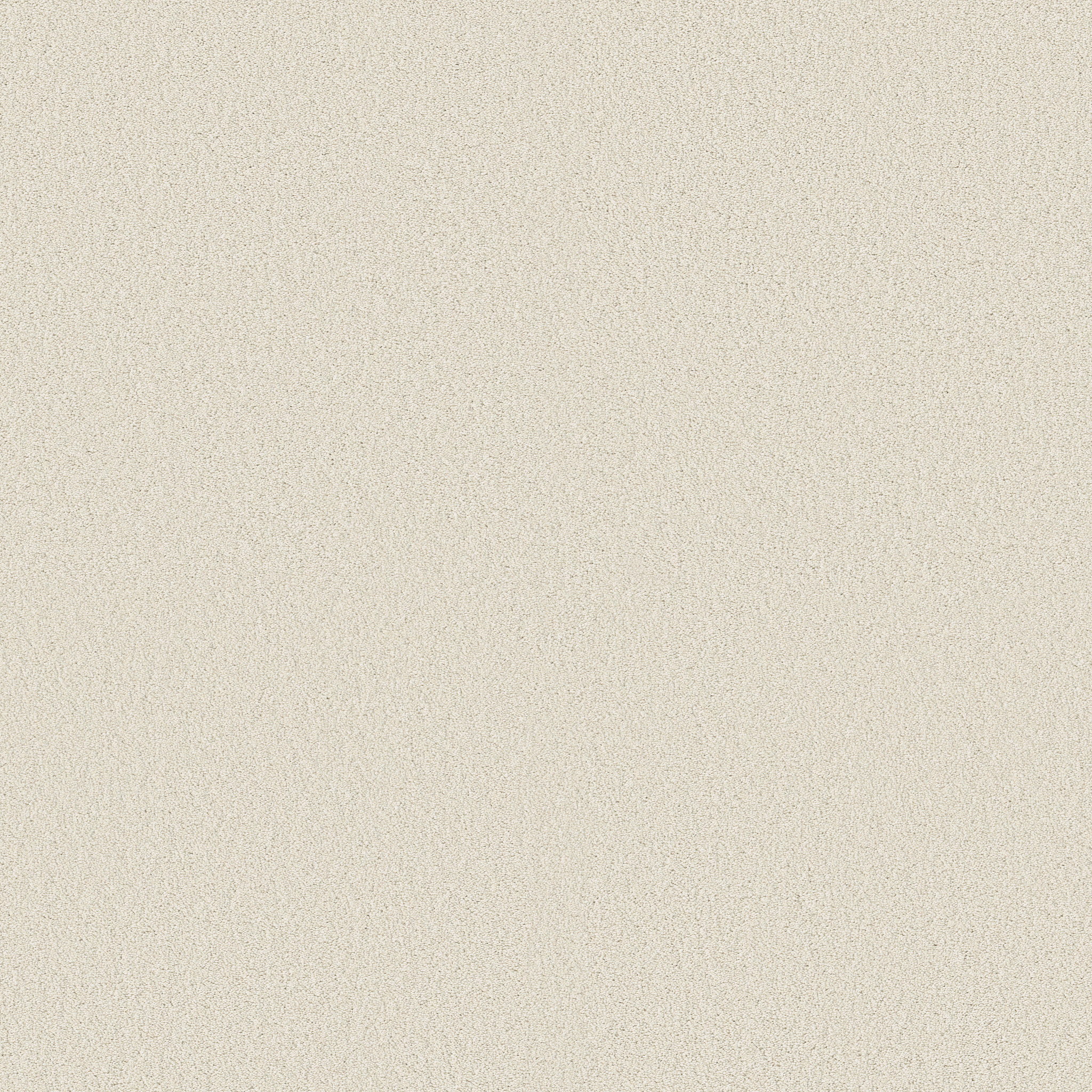 CLASSIC TONE ALPINE SNOW MAIN