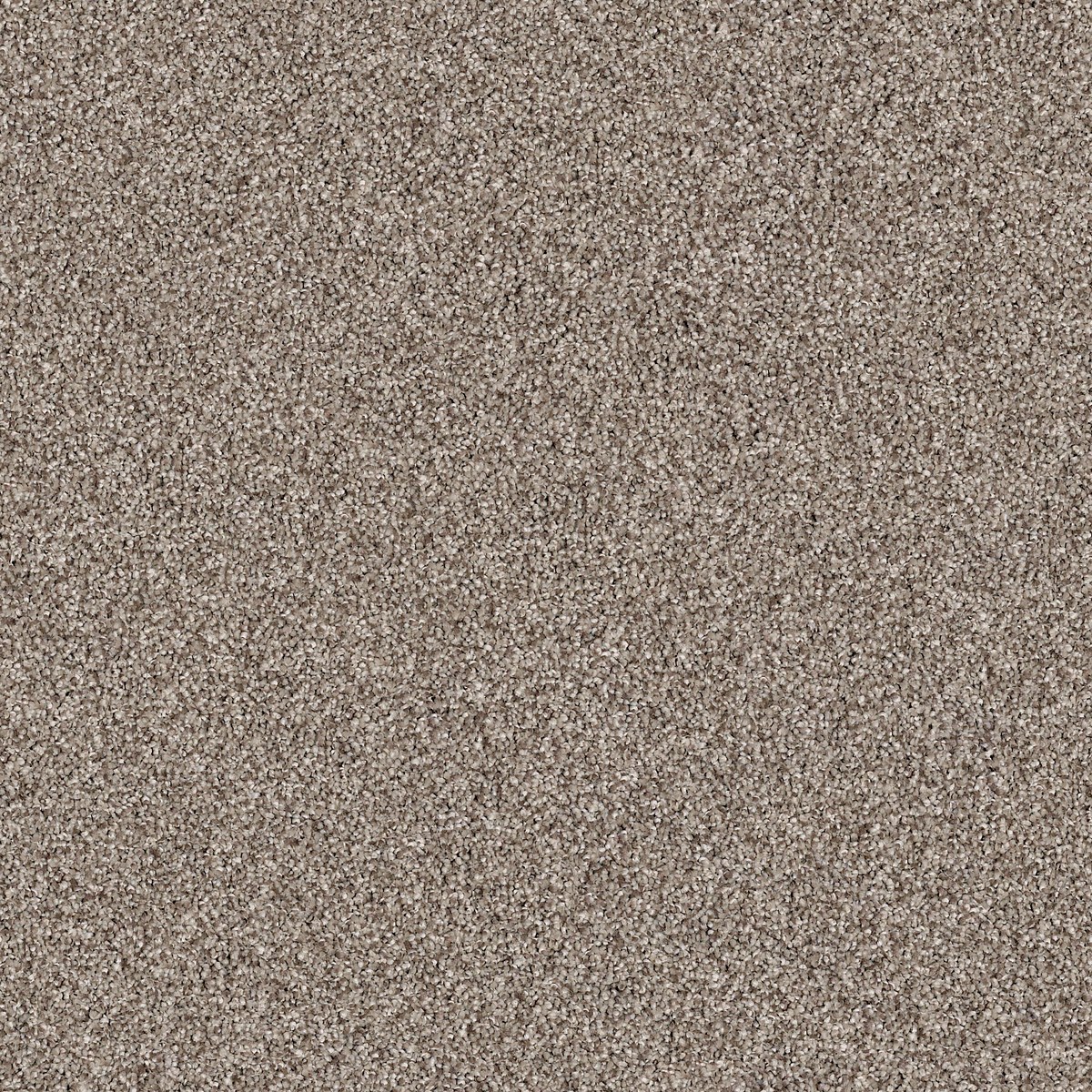 Shaw Floors EXPLORATION — BARN WOOD