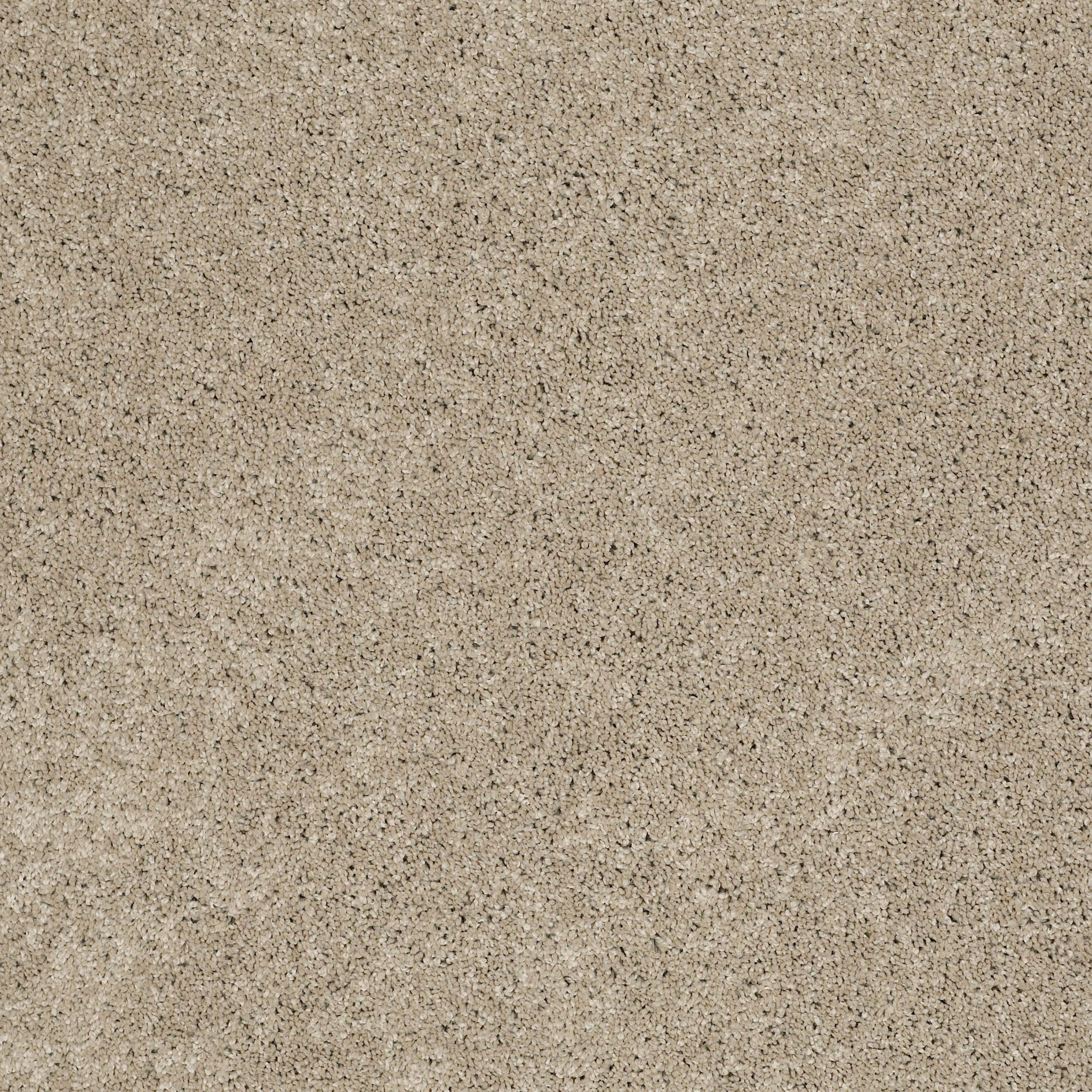 JEALOUSY KHAKI TAN MAIN