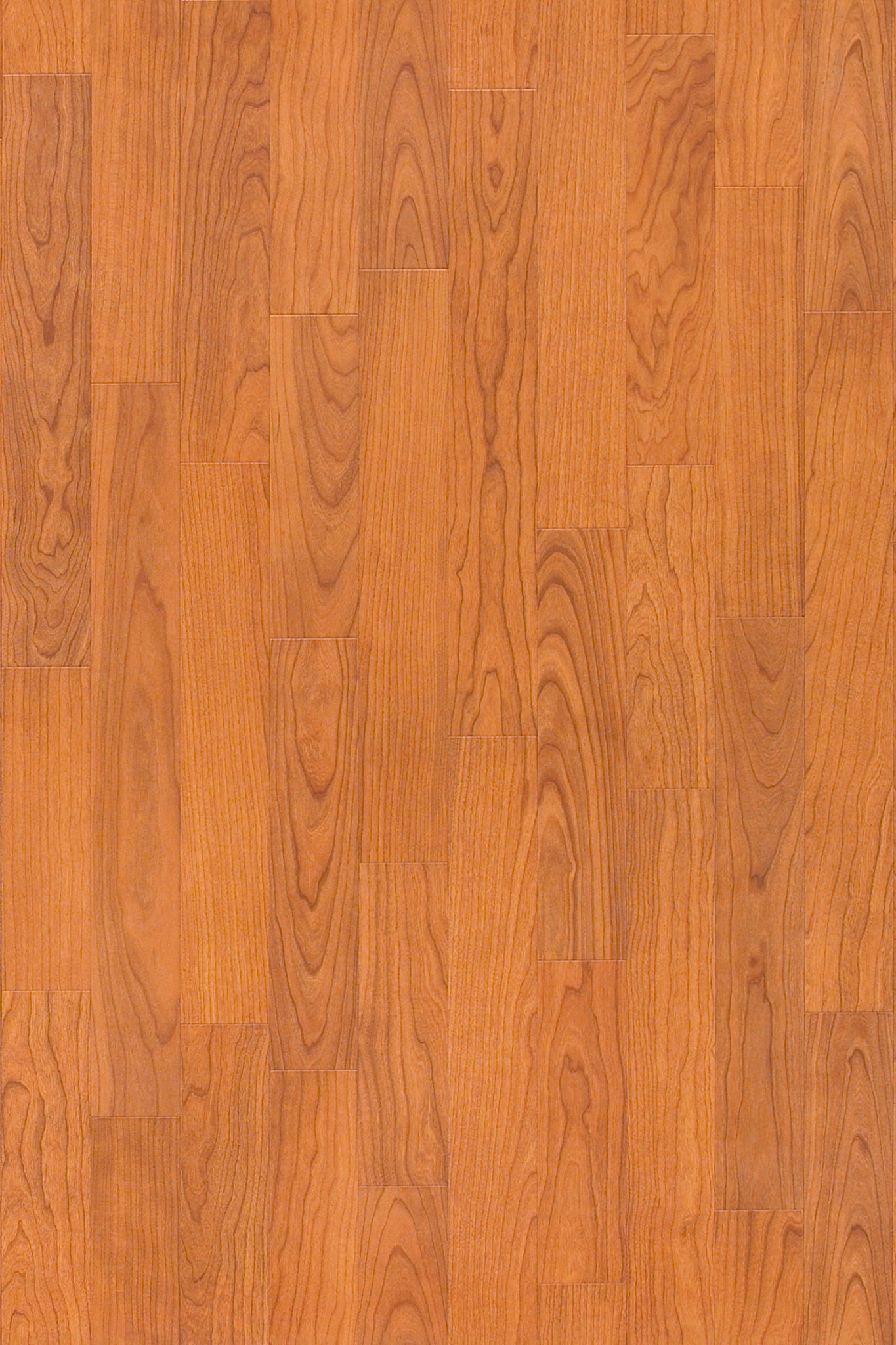 ORGANIC-STRUCTURE-5471V-SPICY-05303-main-image