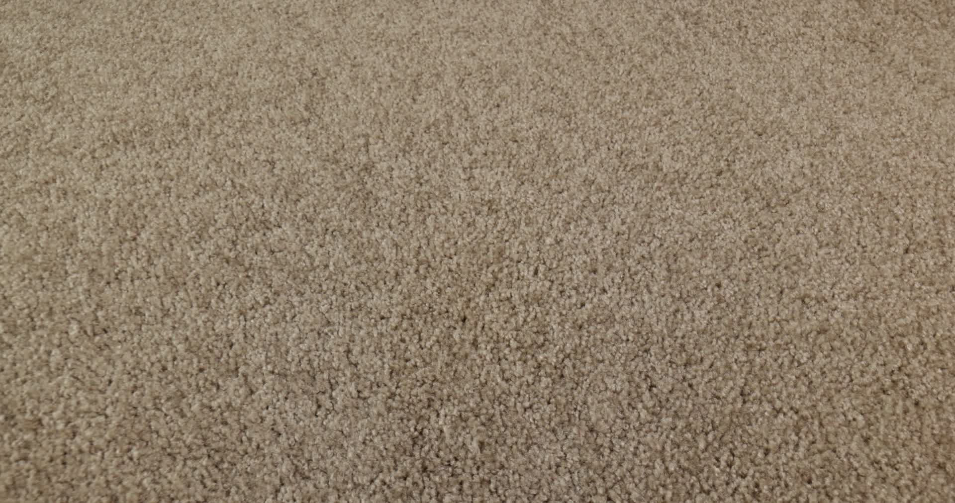 DREAMIN' 12' VERANDA 360PROD