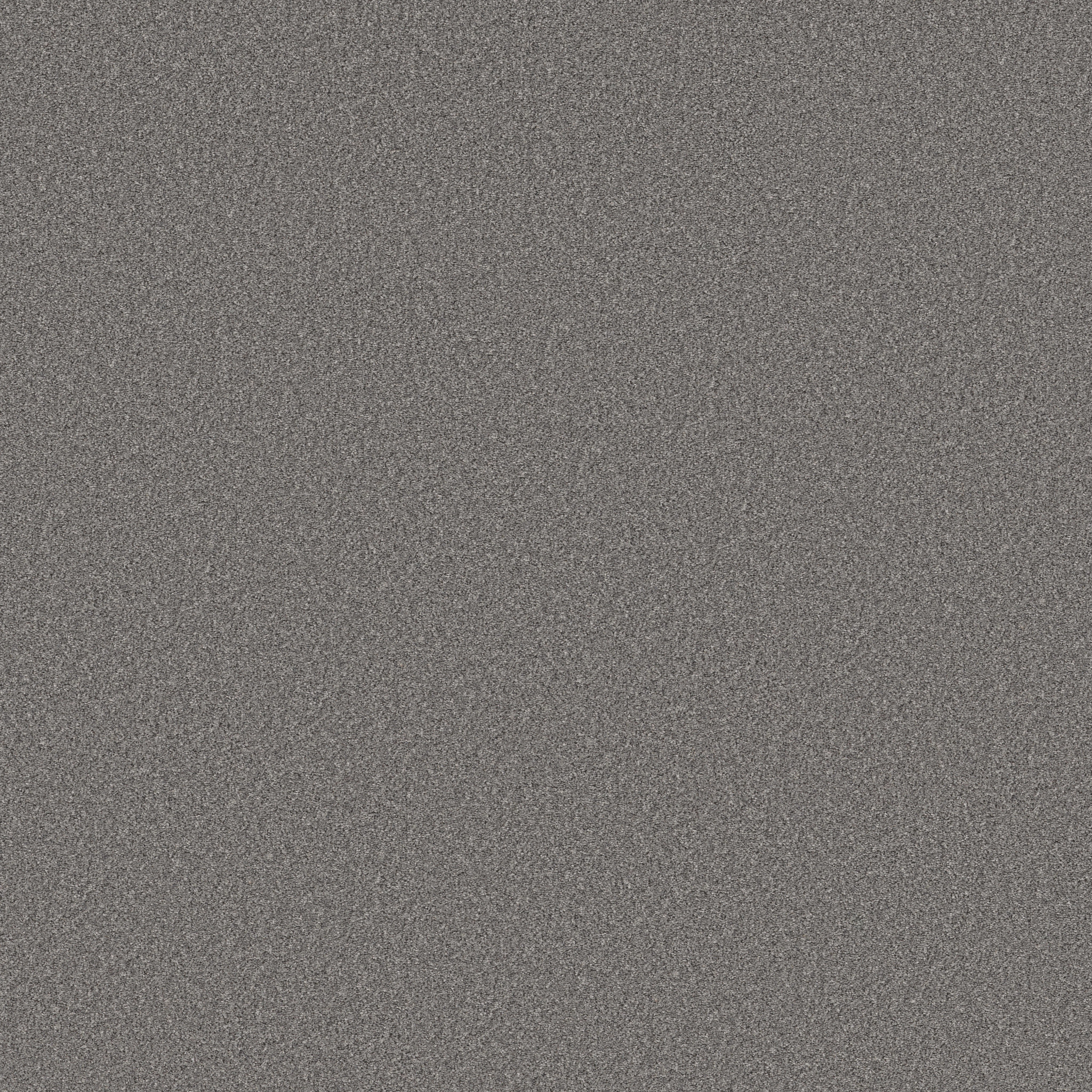 WONDERLAND II COOL WIND MAIN