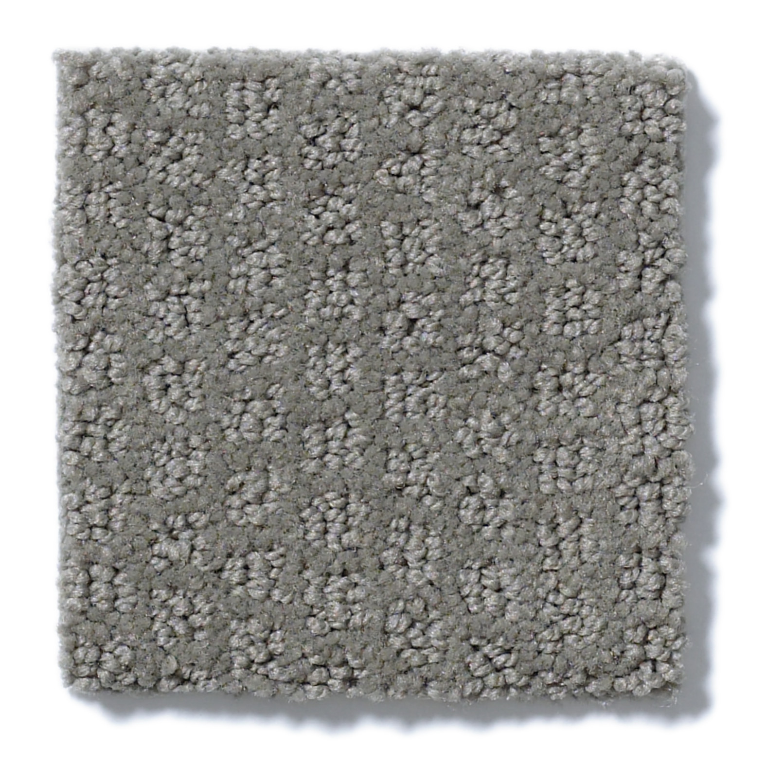 TROON NORTH TITANIUM SWATCH