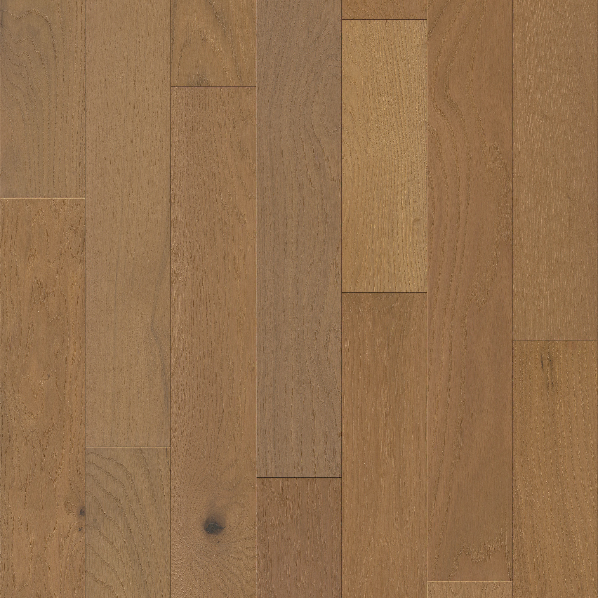 EMPIRE OAK PLANK HEARST MAIN