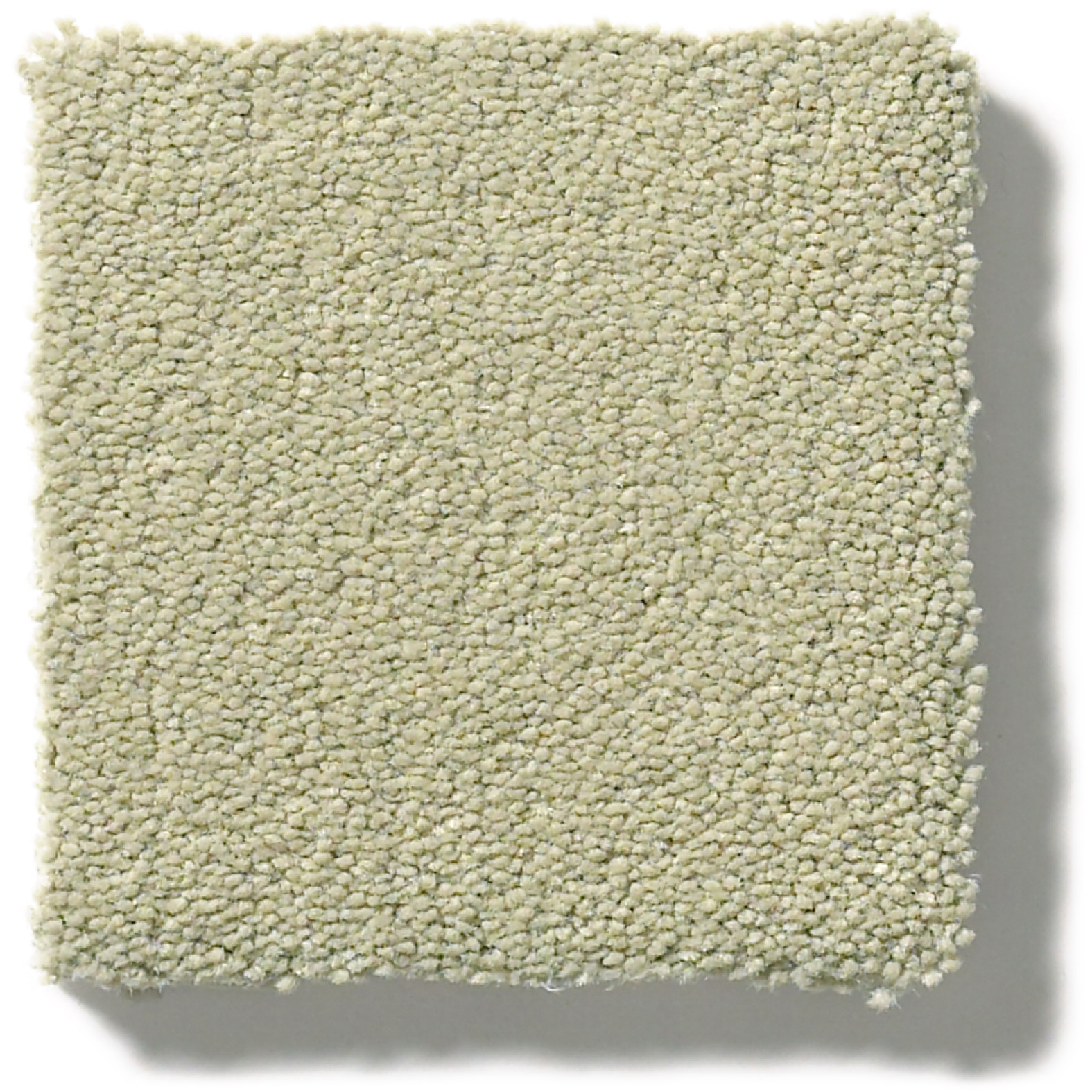 PERFECT CHOICE GLEN SWATCH