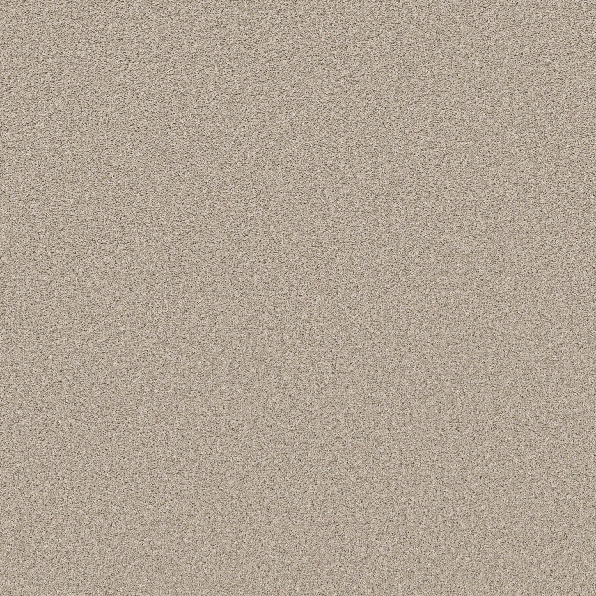 BEST YET SUGAR COOKIE MAIN