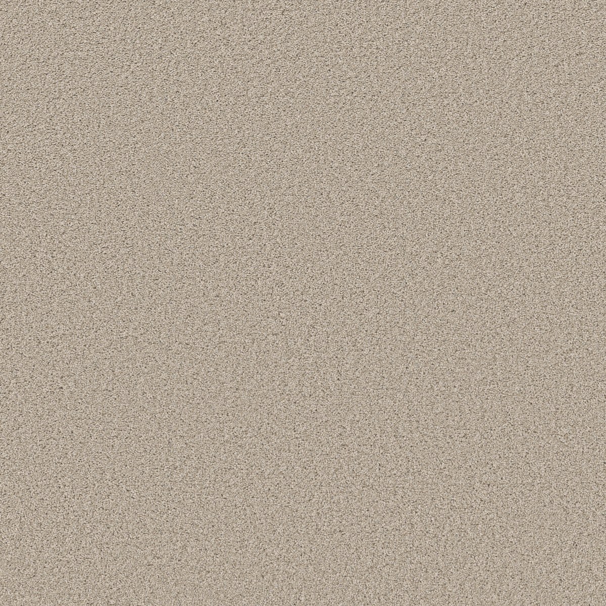 Shaw Floors High Ranking - Tonal — AURA