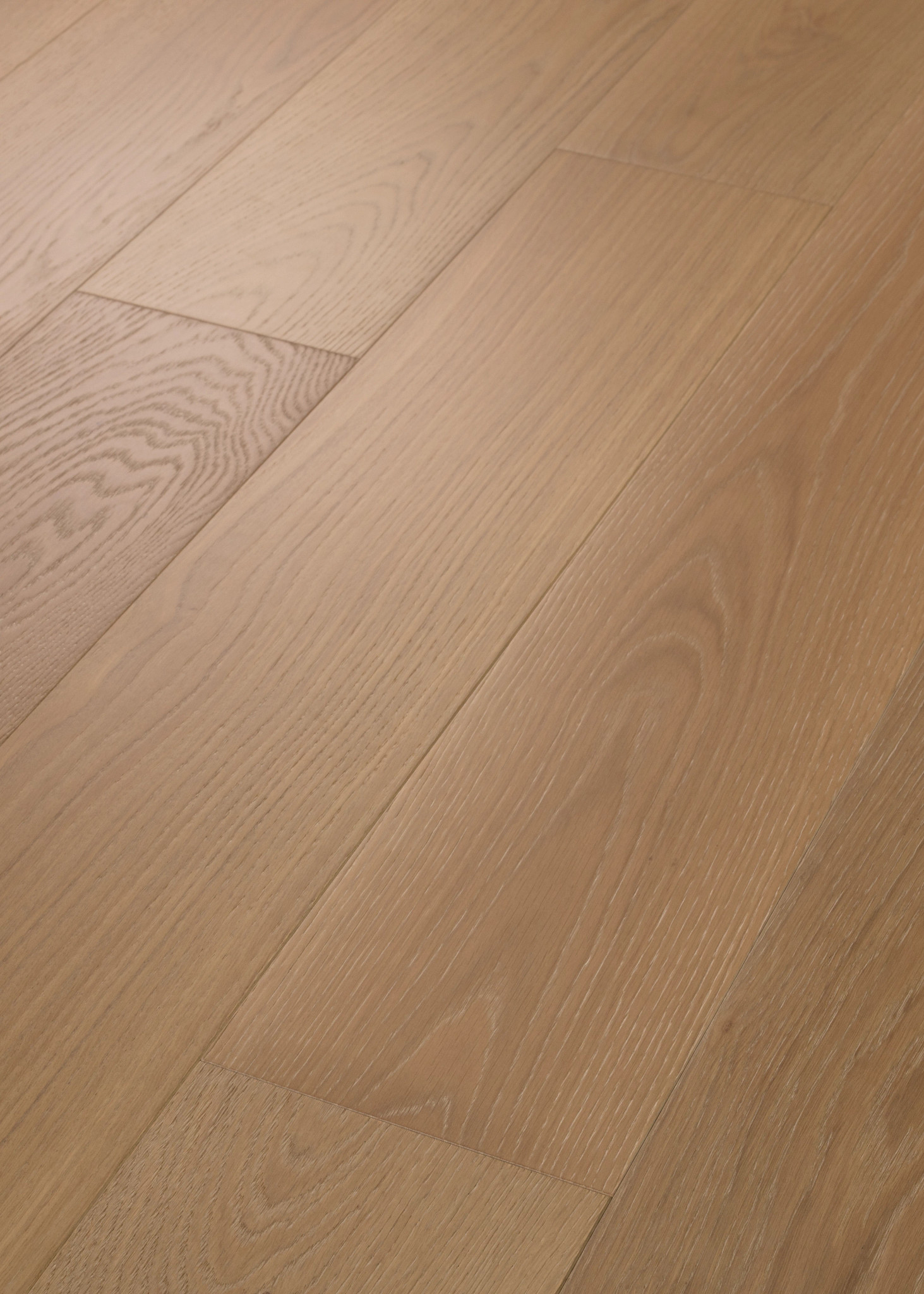 CARPENTRY OAK AMBER GLOW ANGLED