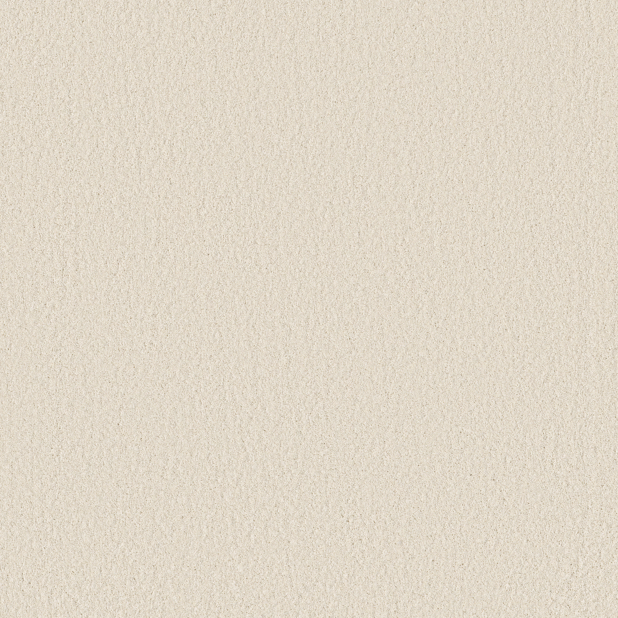 ENCHANTING CLOUD MAIN