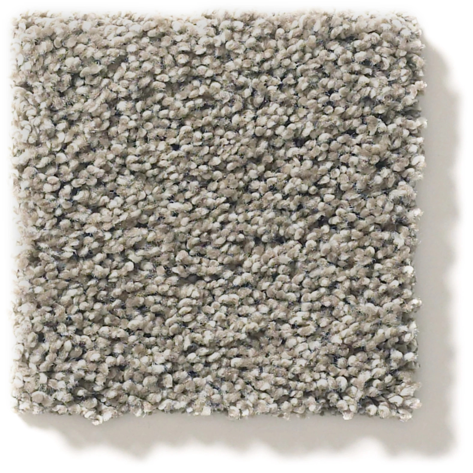 OCEAN VIEW ELUSIVE SWATCH