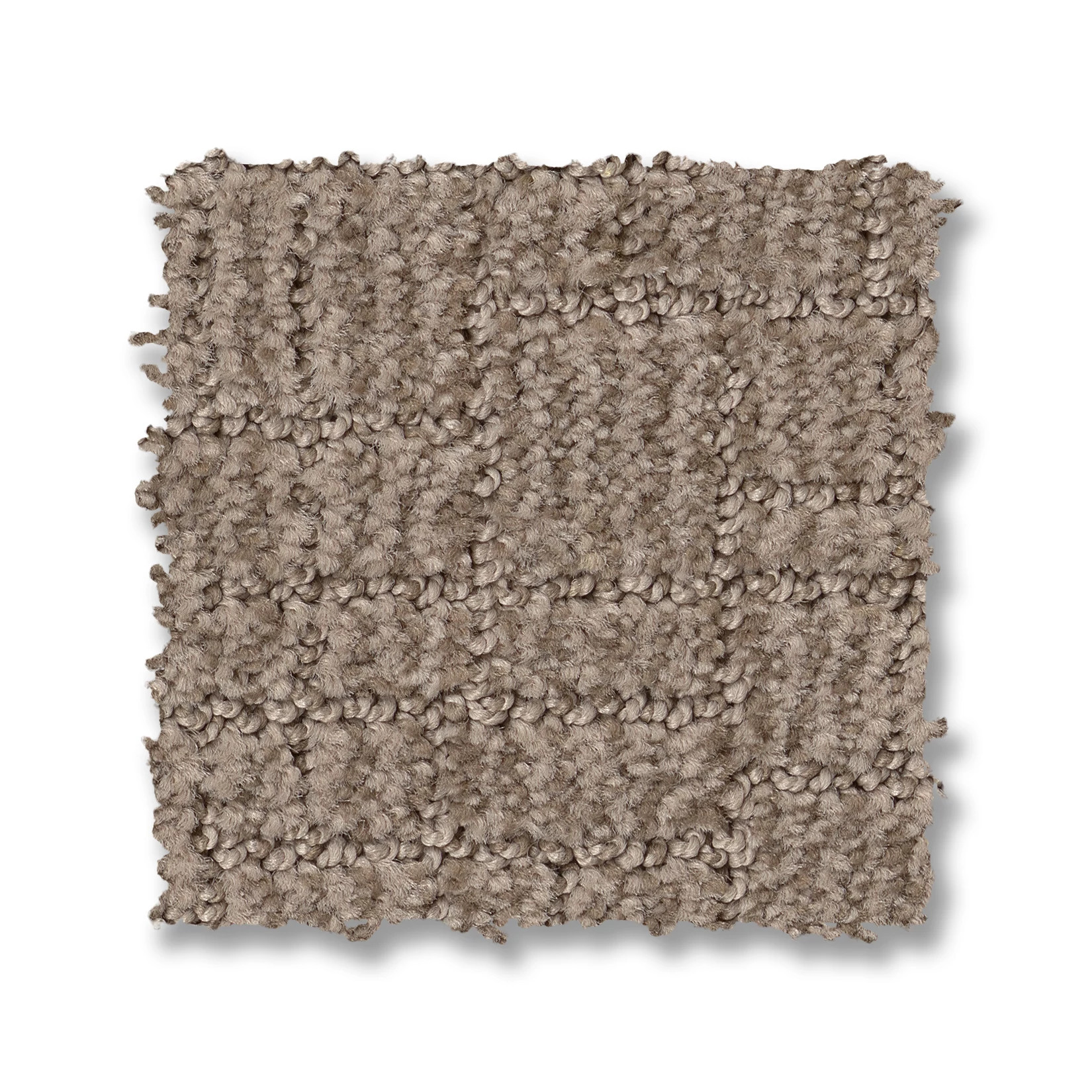 WAYFARER PLAINS SWATCH