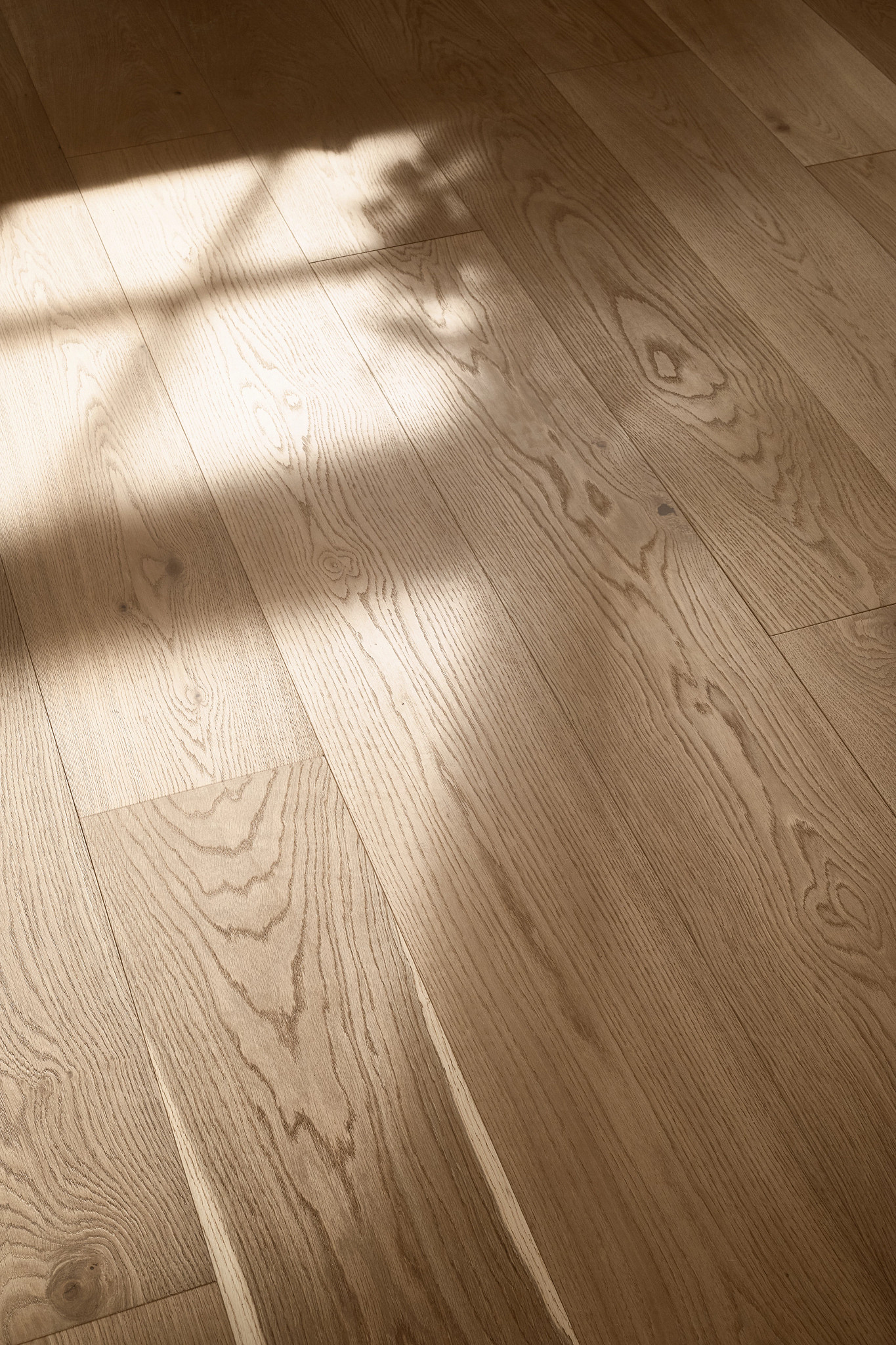 GRAND ESTATE RICHHILL CASTLE StaticImage02