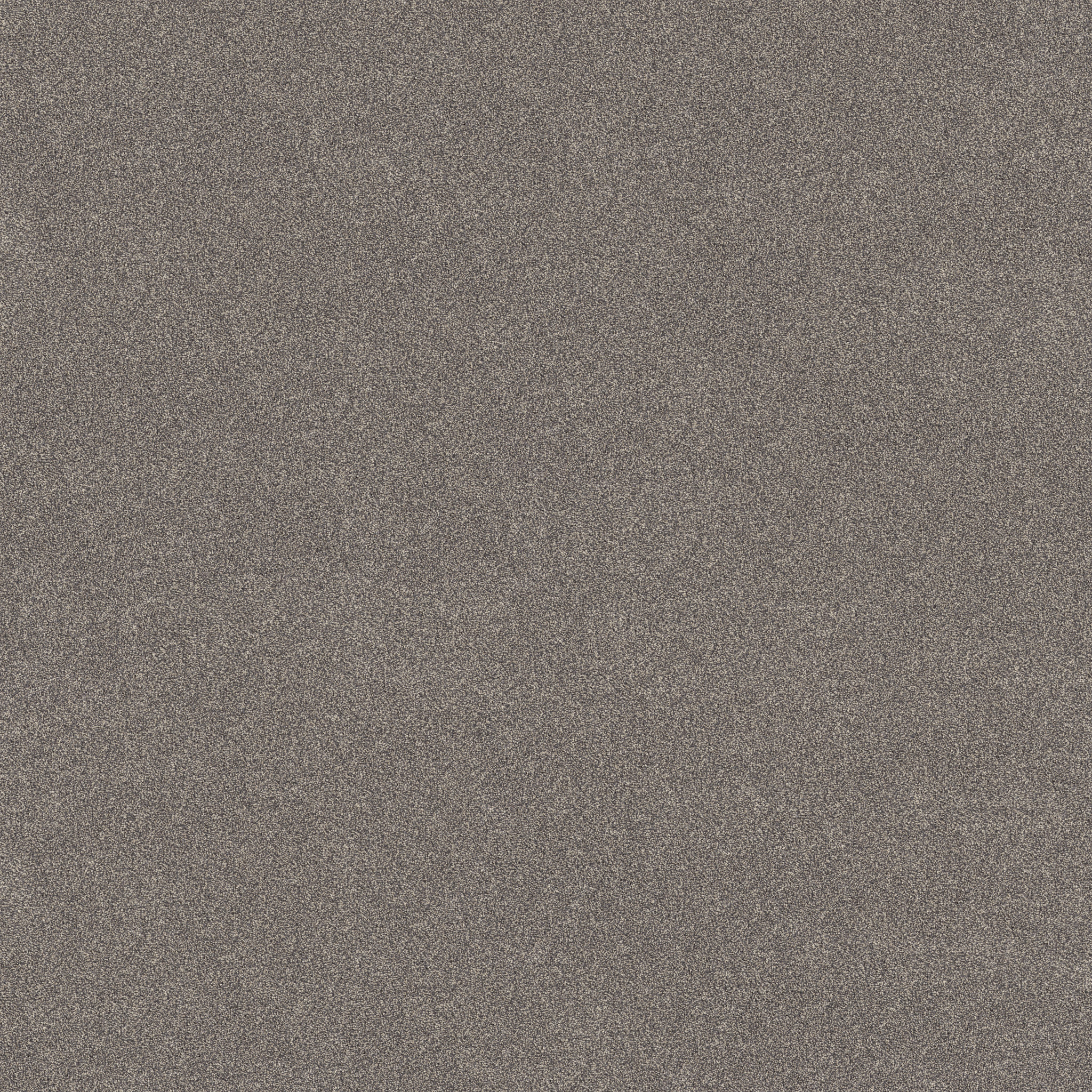 VIVID TOUCH II SHADOWS MAIN