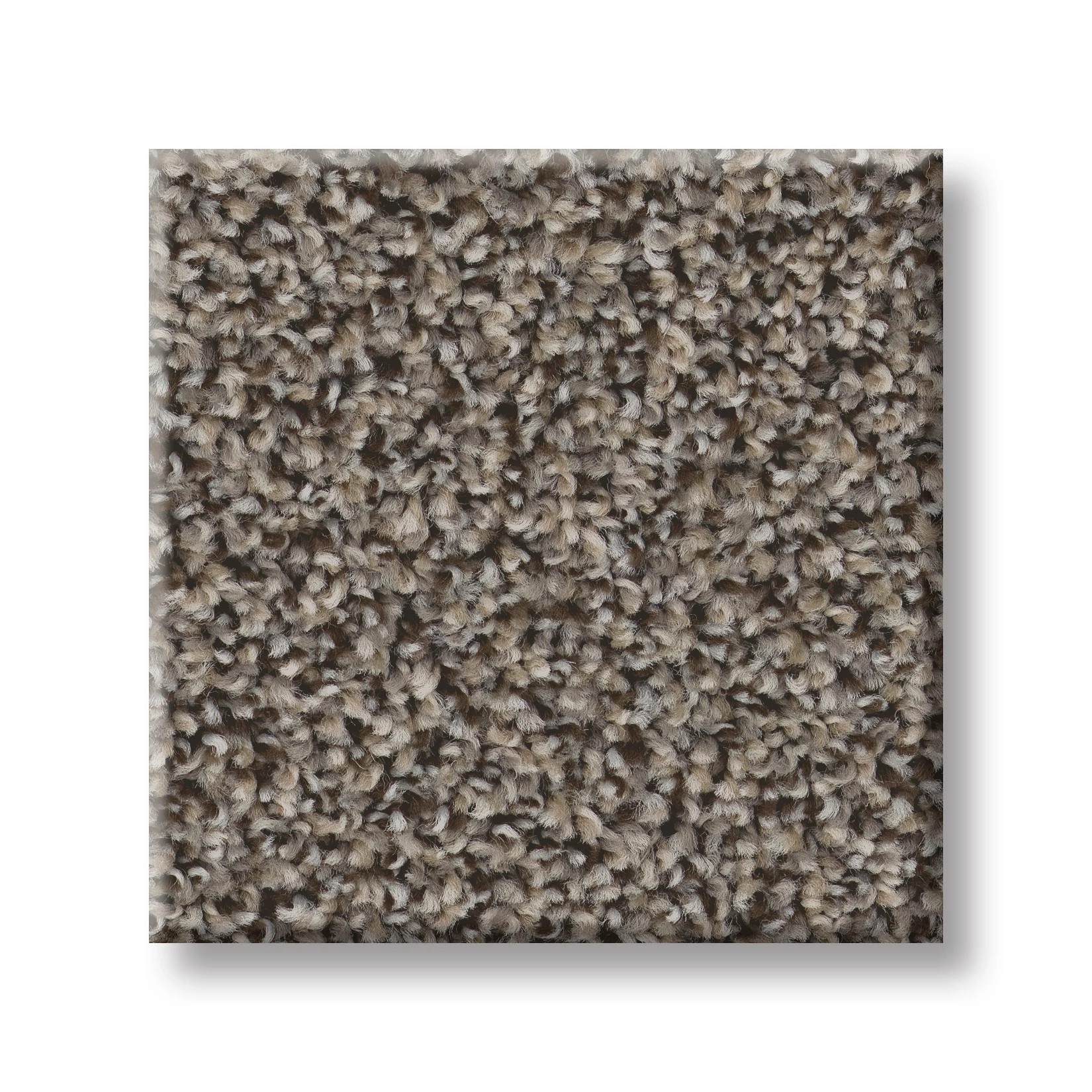 RAMPED UP MOUNTAINSIDE SWATCH