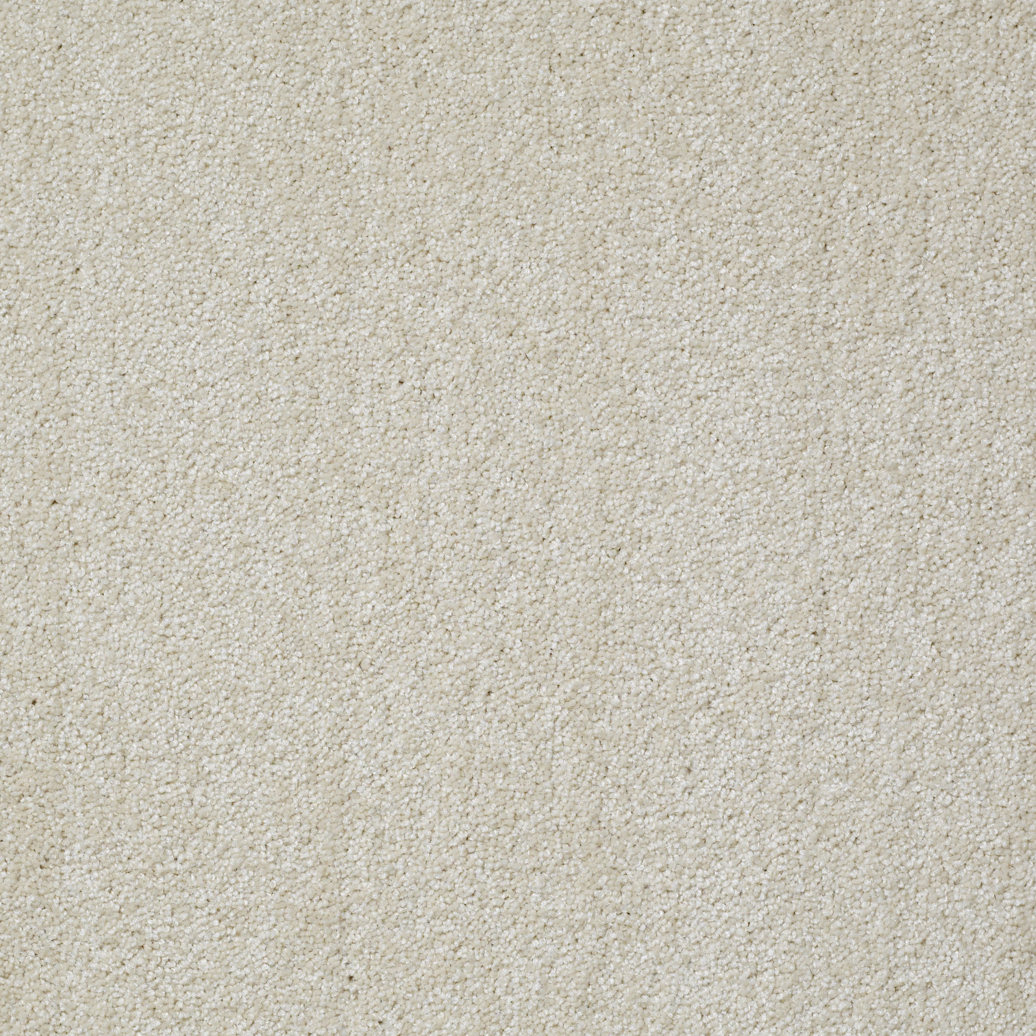 HONEST TO GOODNESS PLASTER MAIN