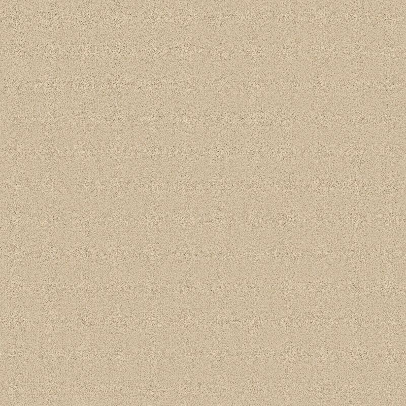 Something Sweet Broadloom Carpet in Mindful Gray, 12ft width, 100% nylon material