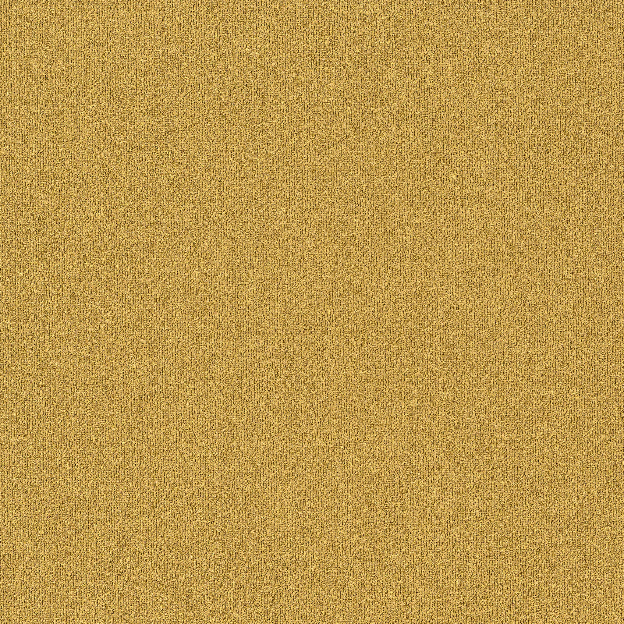 COLOR-ACCENTS-BL-54584-OCHRE-62210-main-image